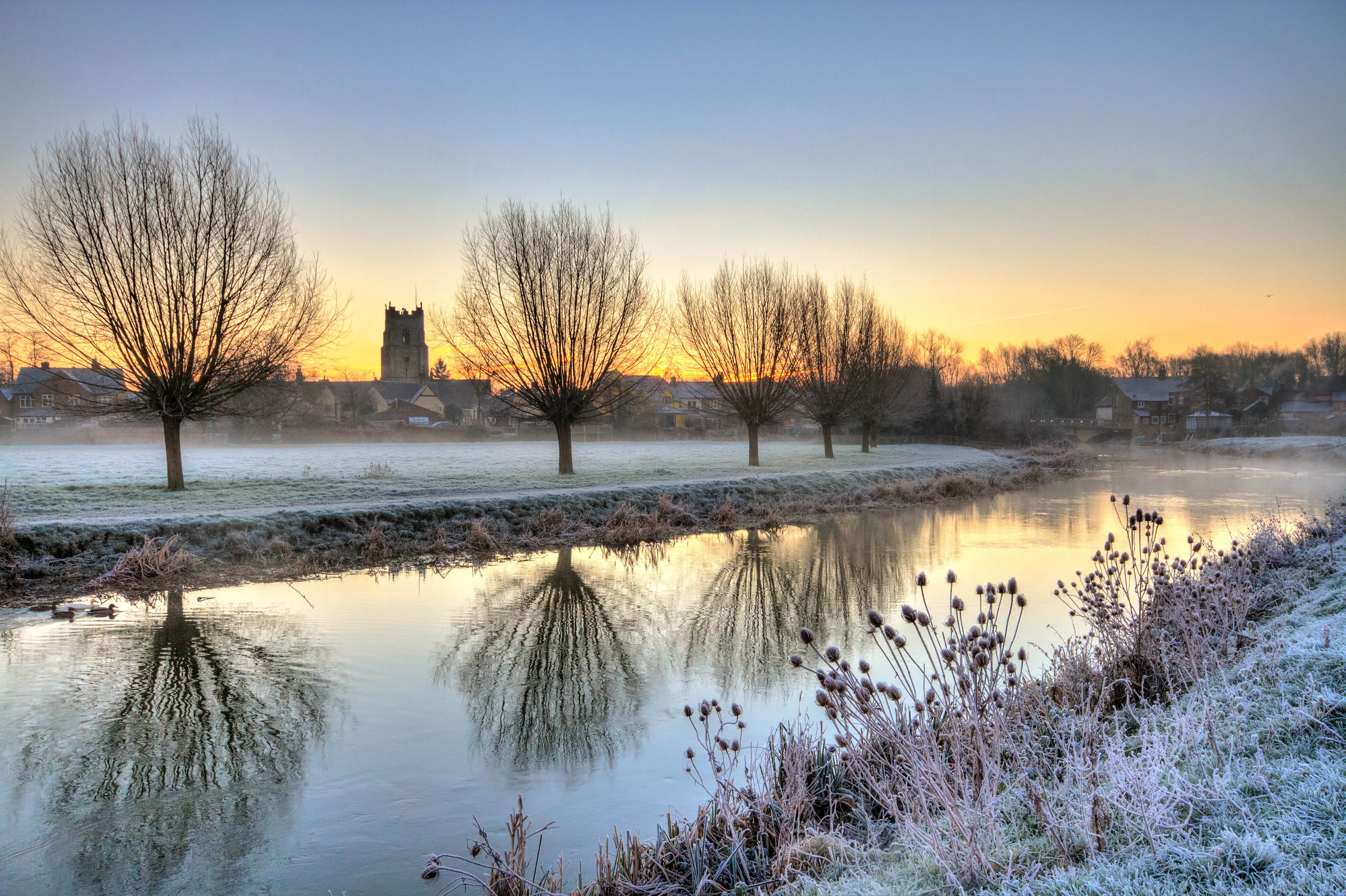 Winter meadows