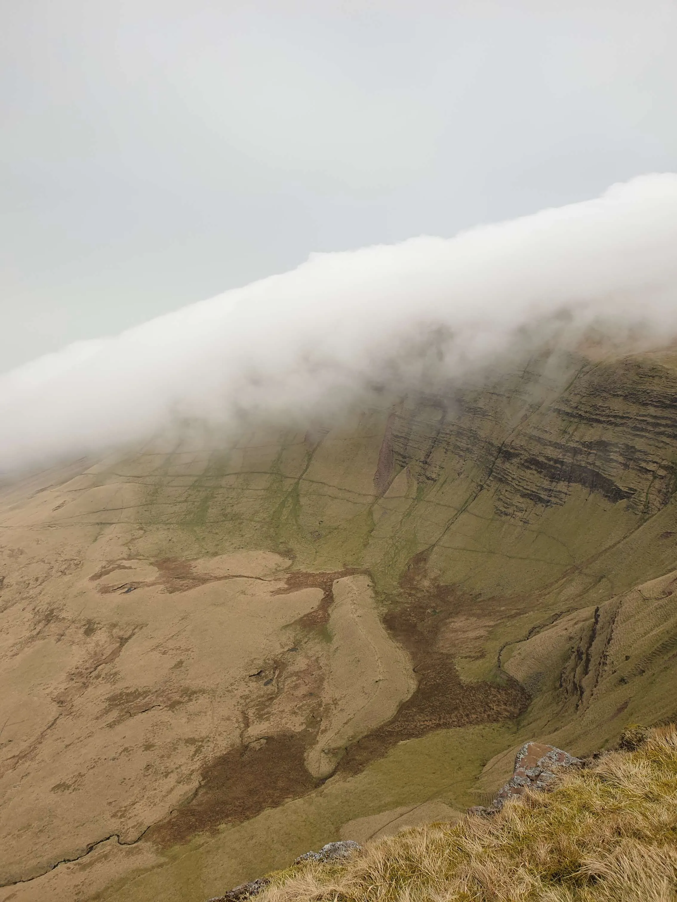 Meeting the mist