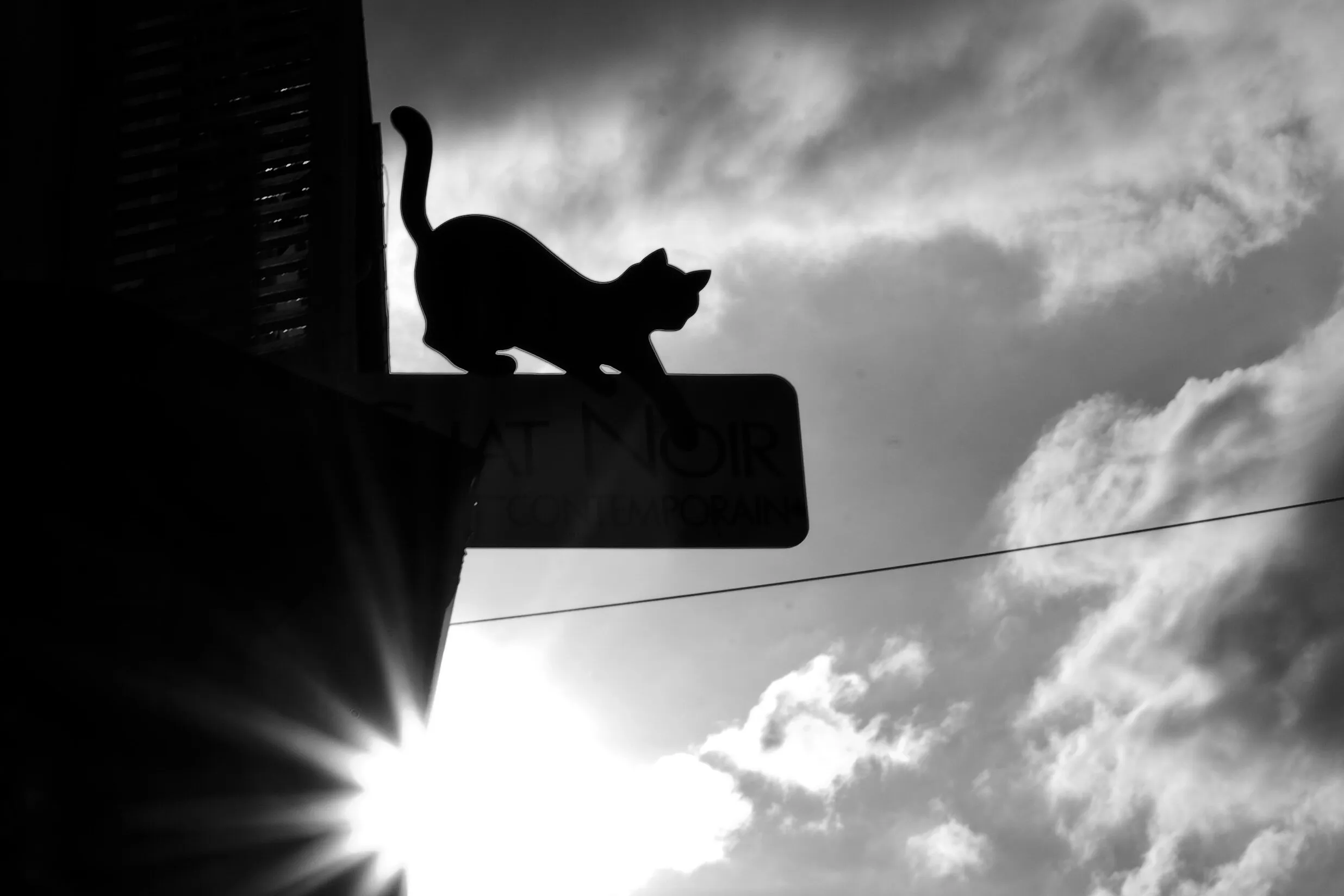 Le Chat Noir