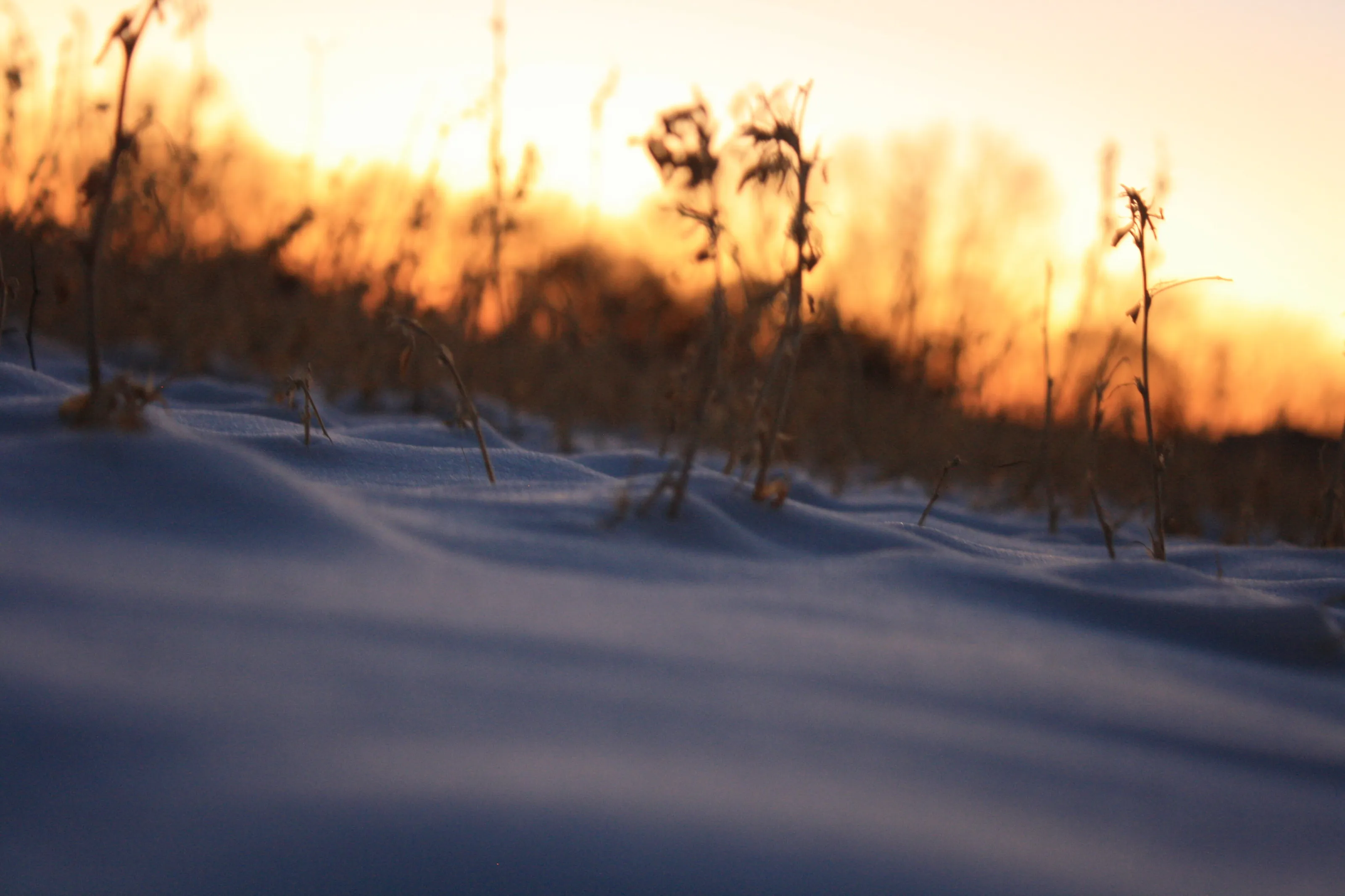 Snow Mounds