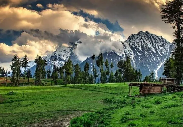 Landscape