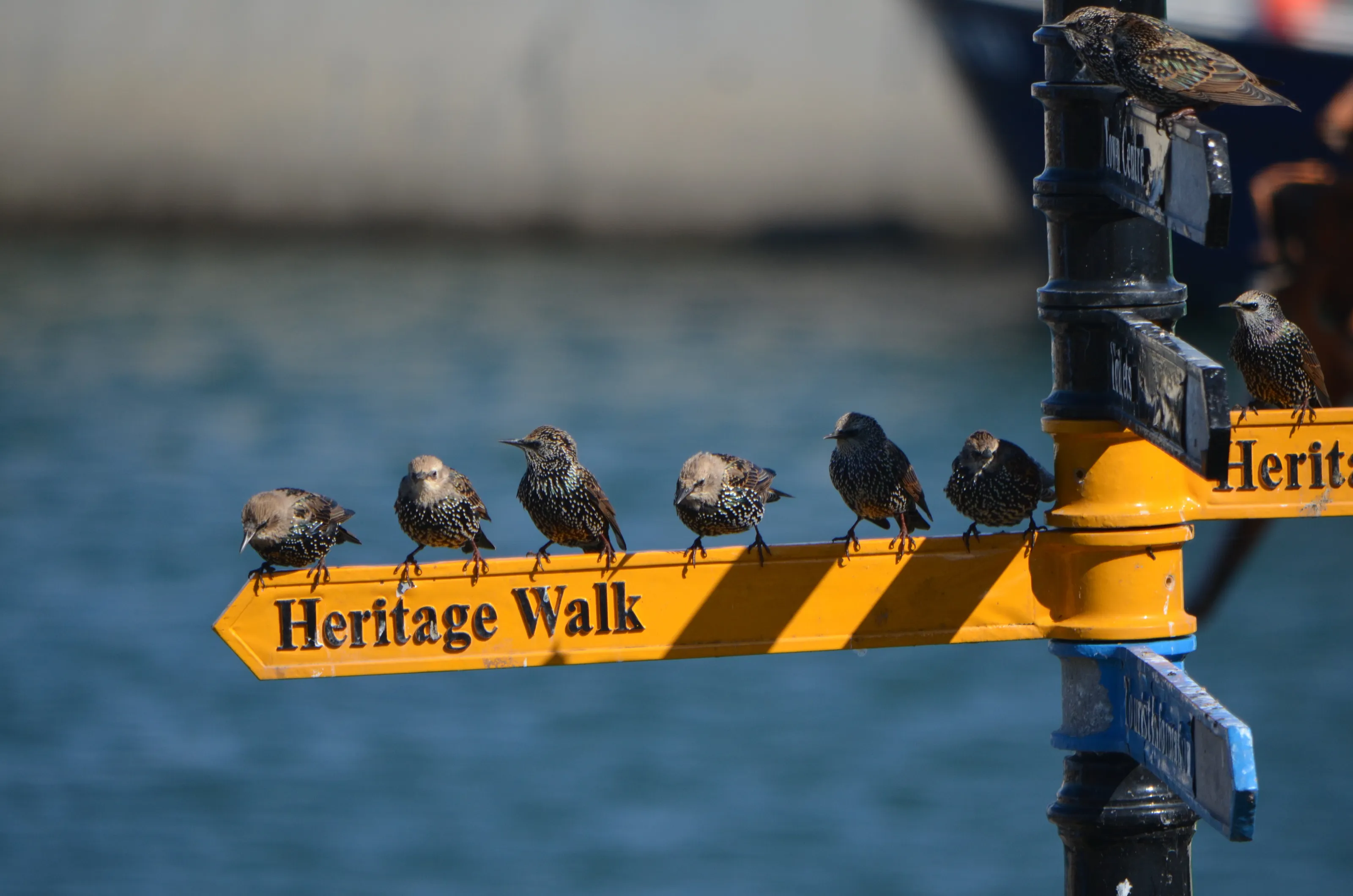 walk this way.