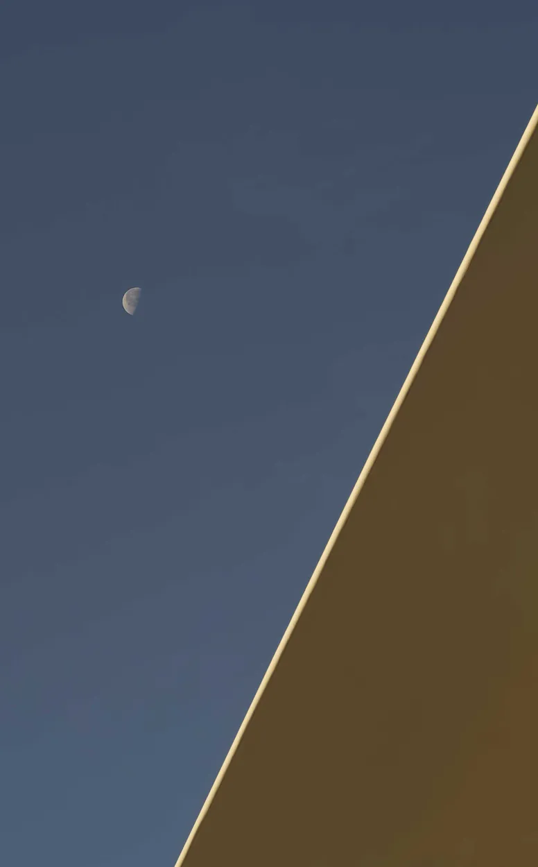 Entry 11576812