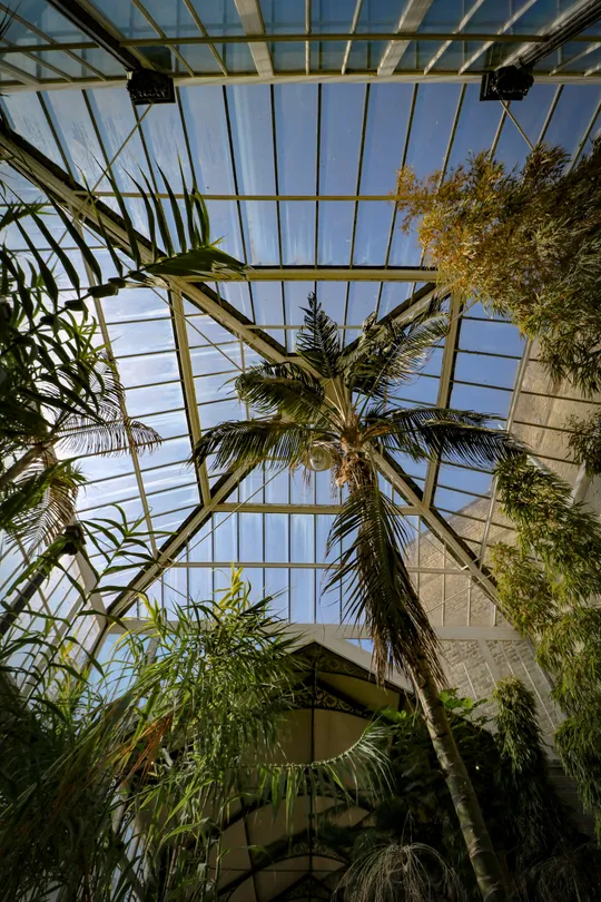 The Glass Ceiling