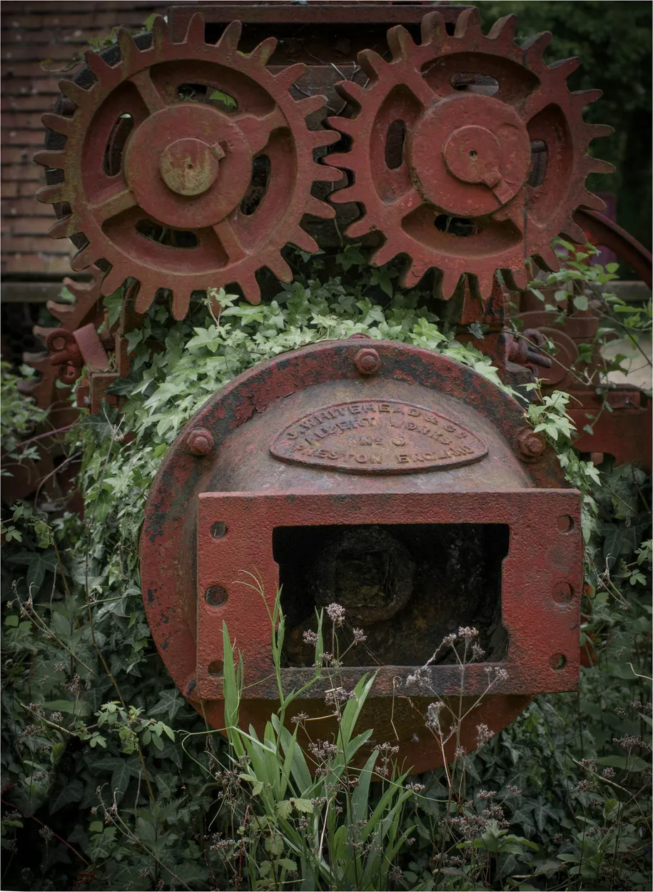 Entry 610891