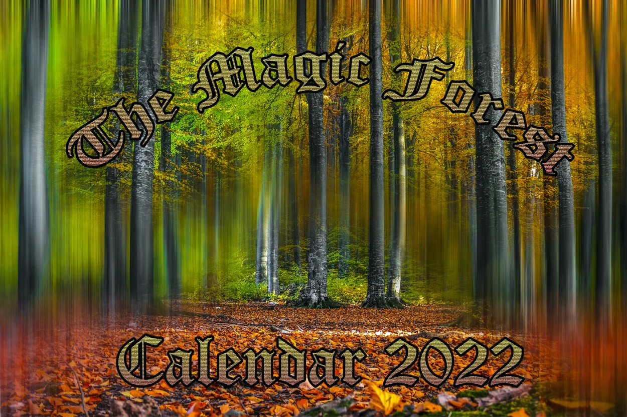 Entry 11580439