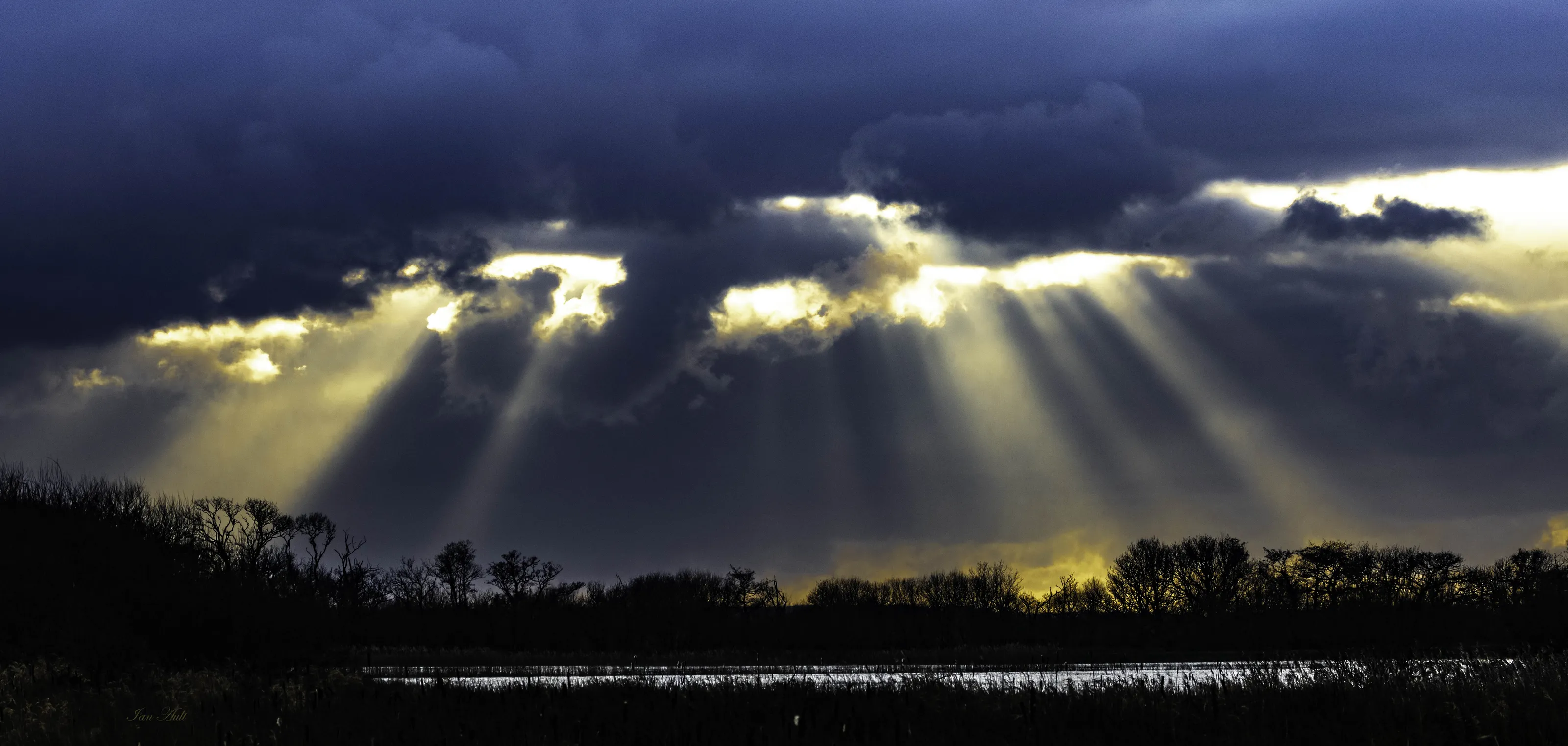 Sunbeams