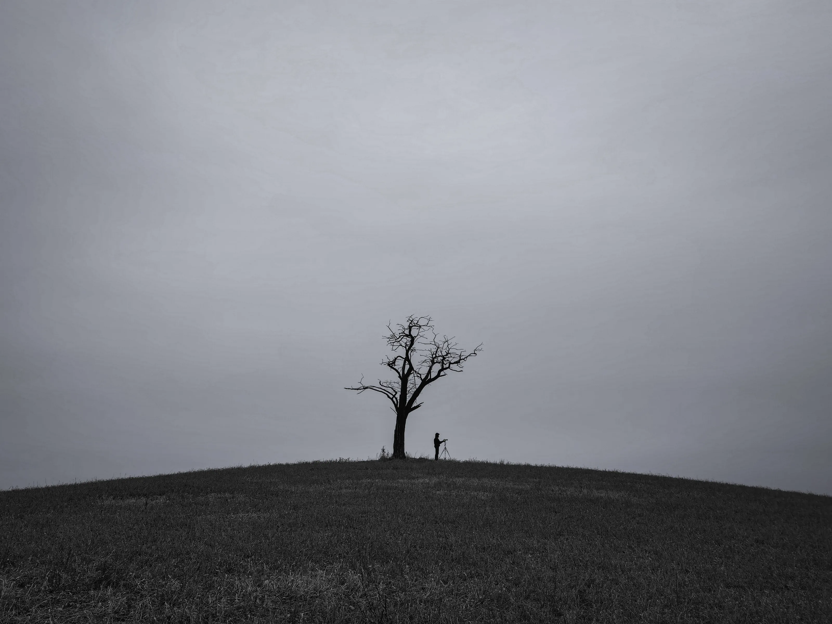 solitude