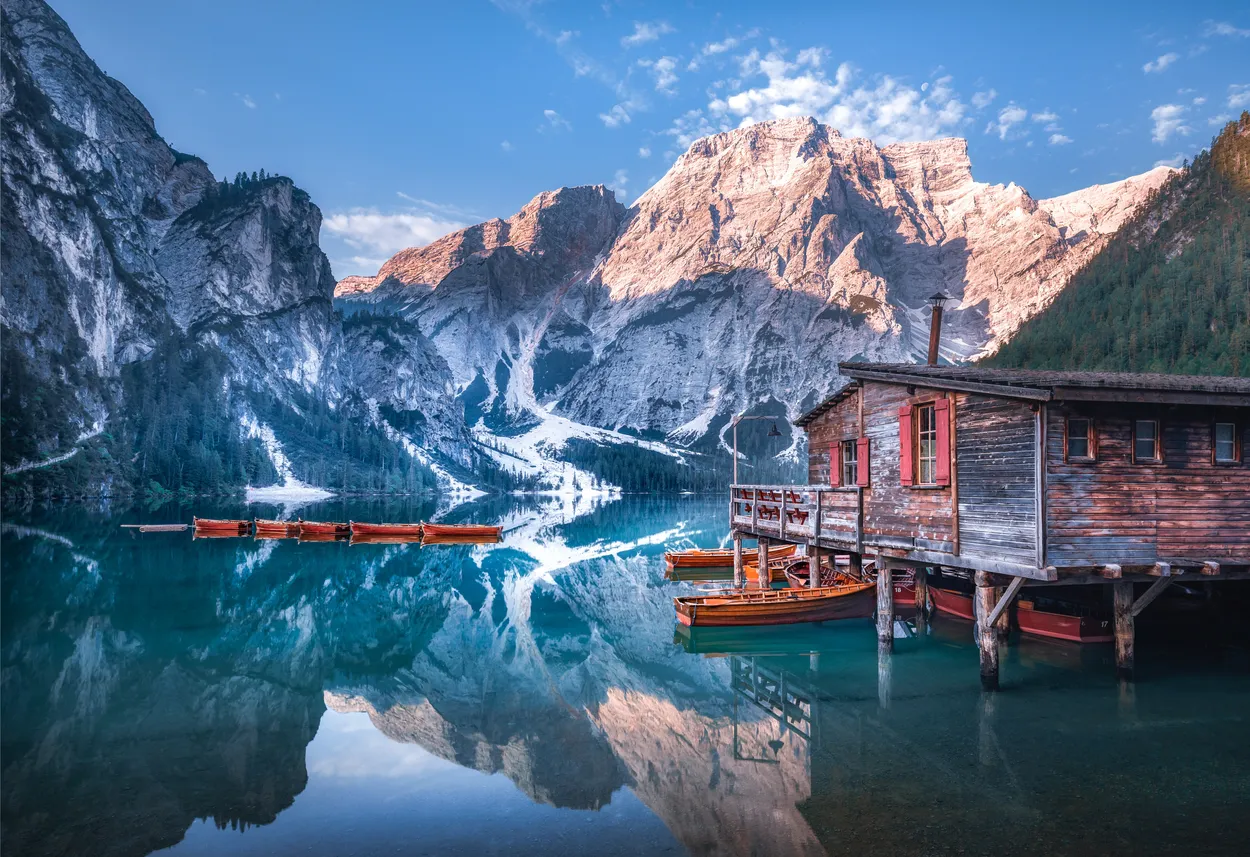 Entry 11690875