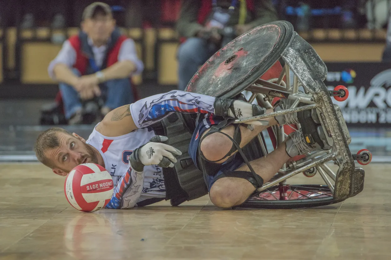 Entry 3050481