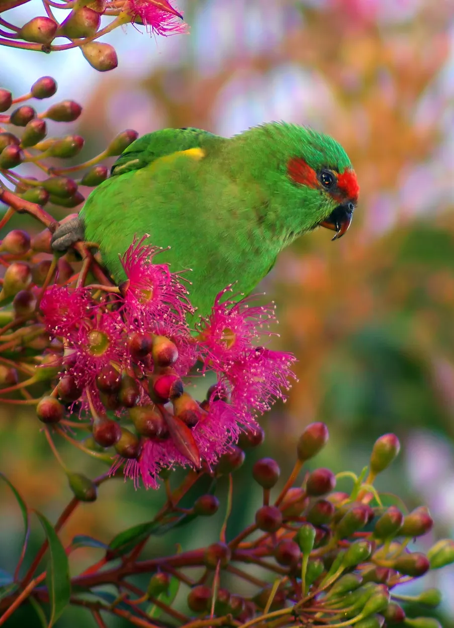 Entry 13887391