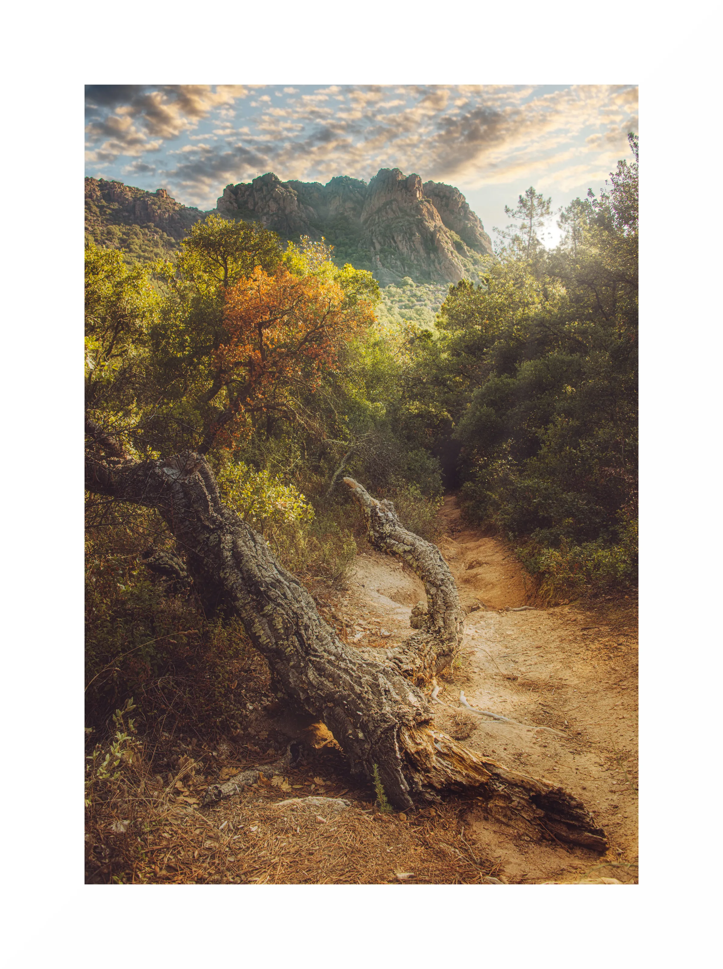A Long Walk to a Steep Climb