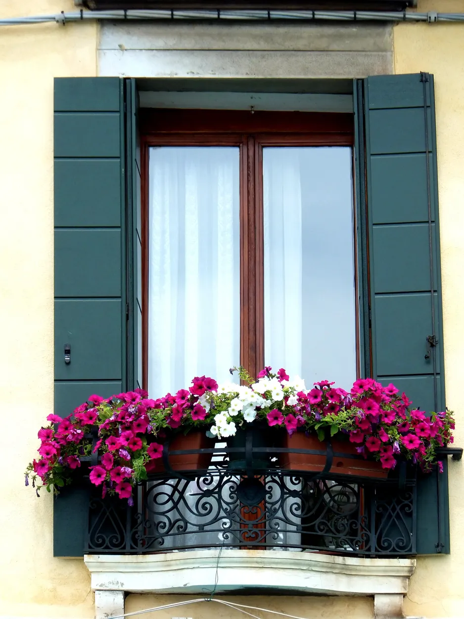 Entry 17086425