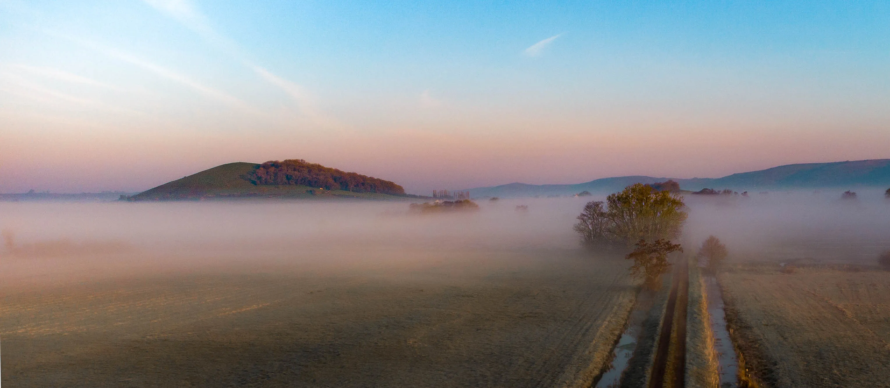 Foggy Morning