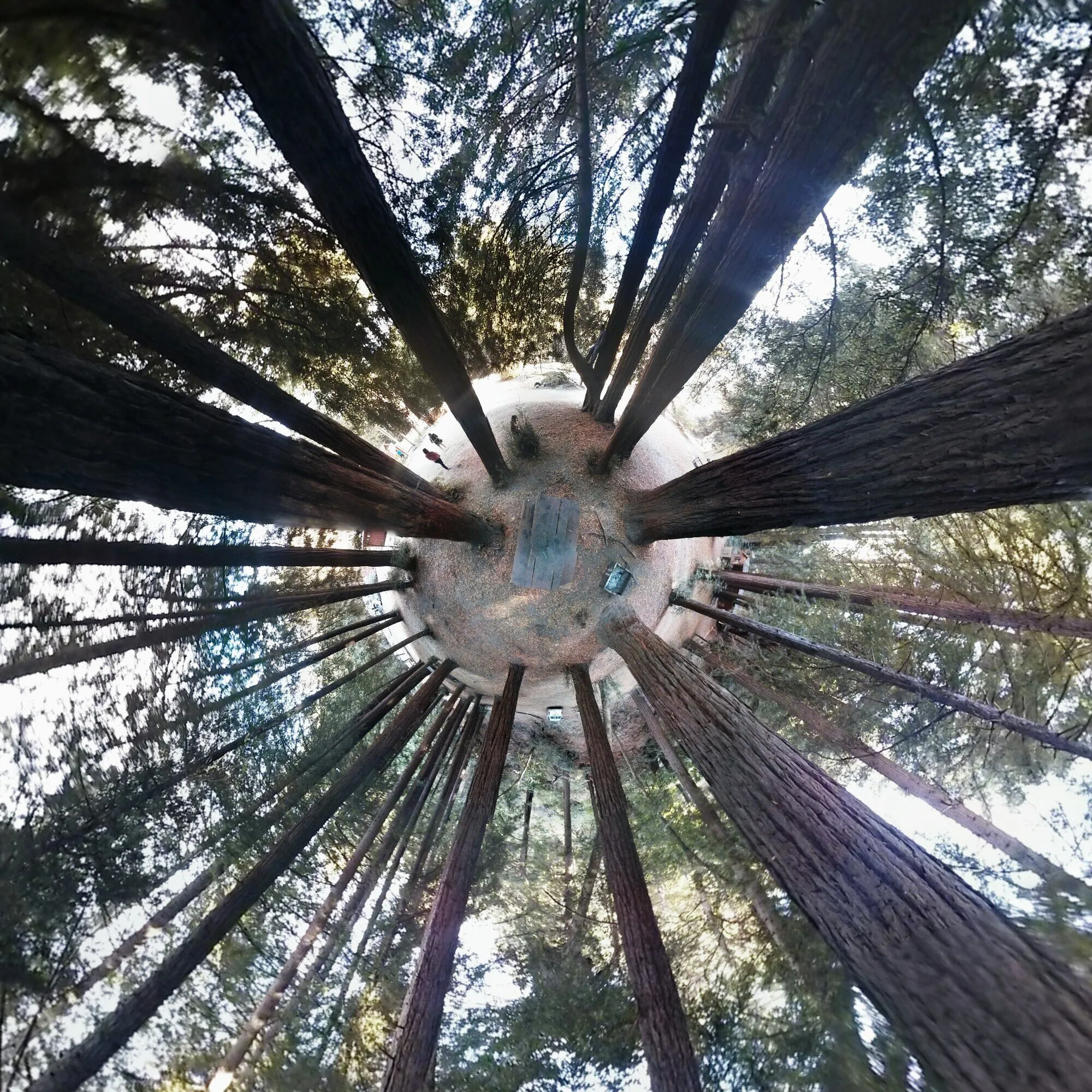 Little Planet