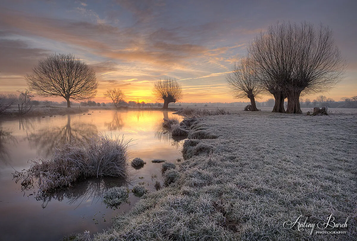 One Day of Winter