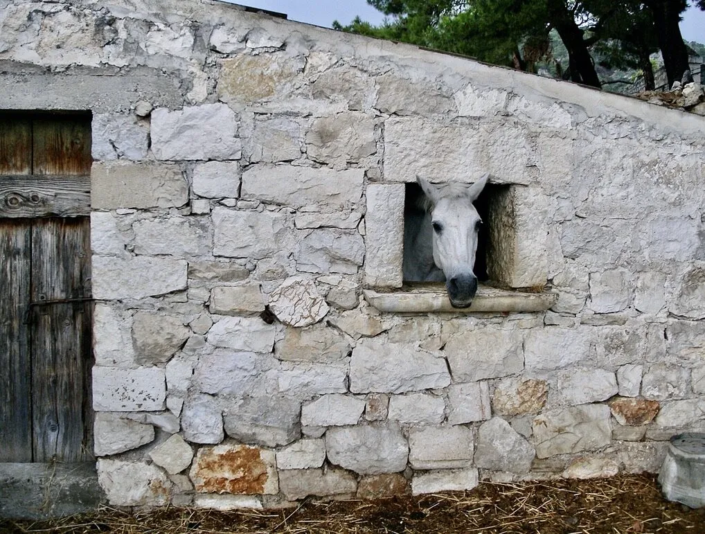 Entry 11609847