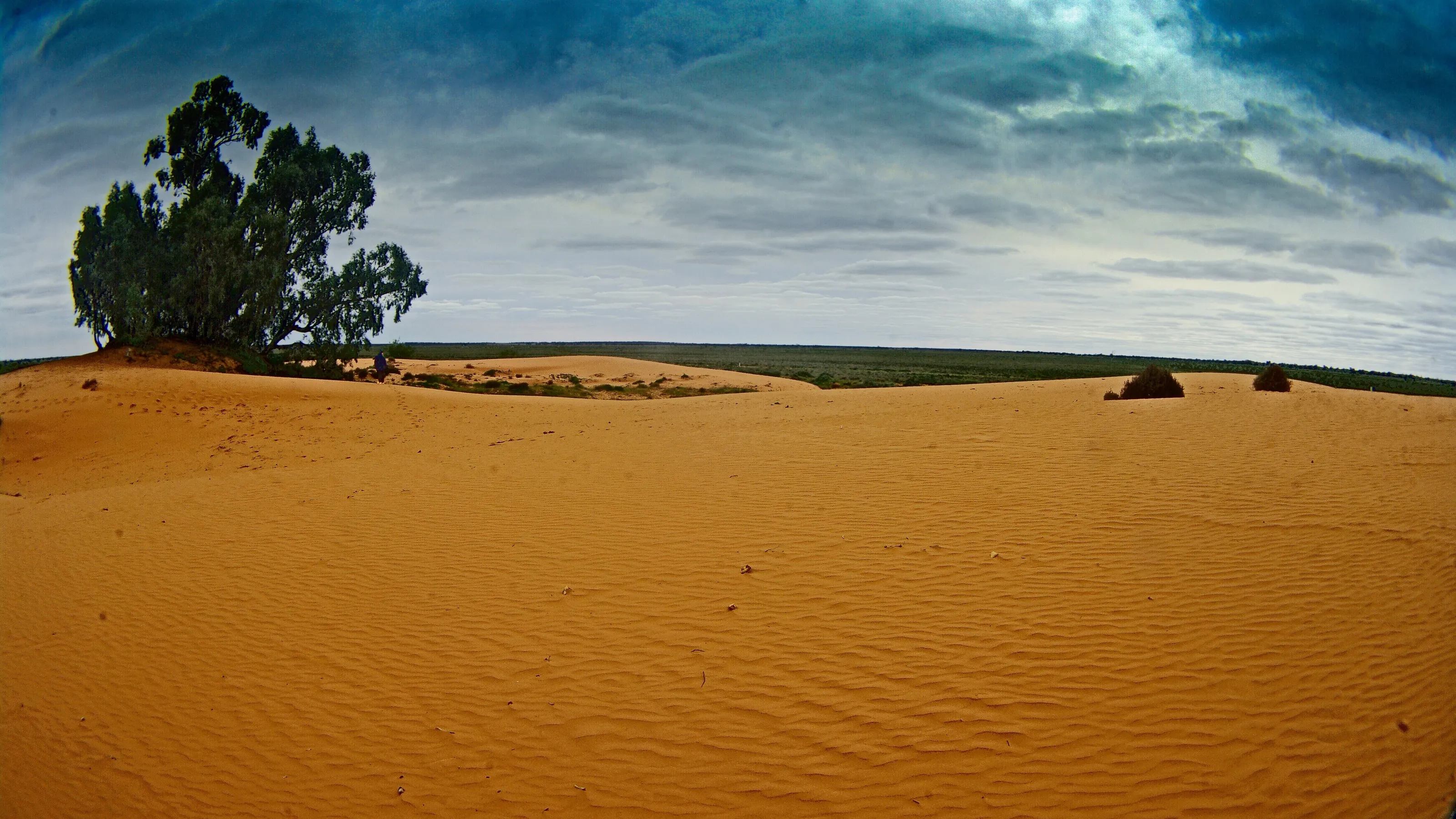 Perry Sandhills