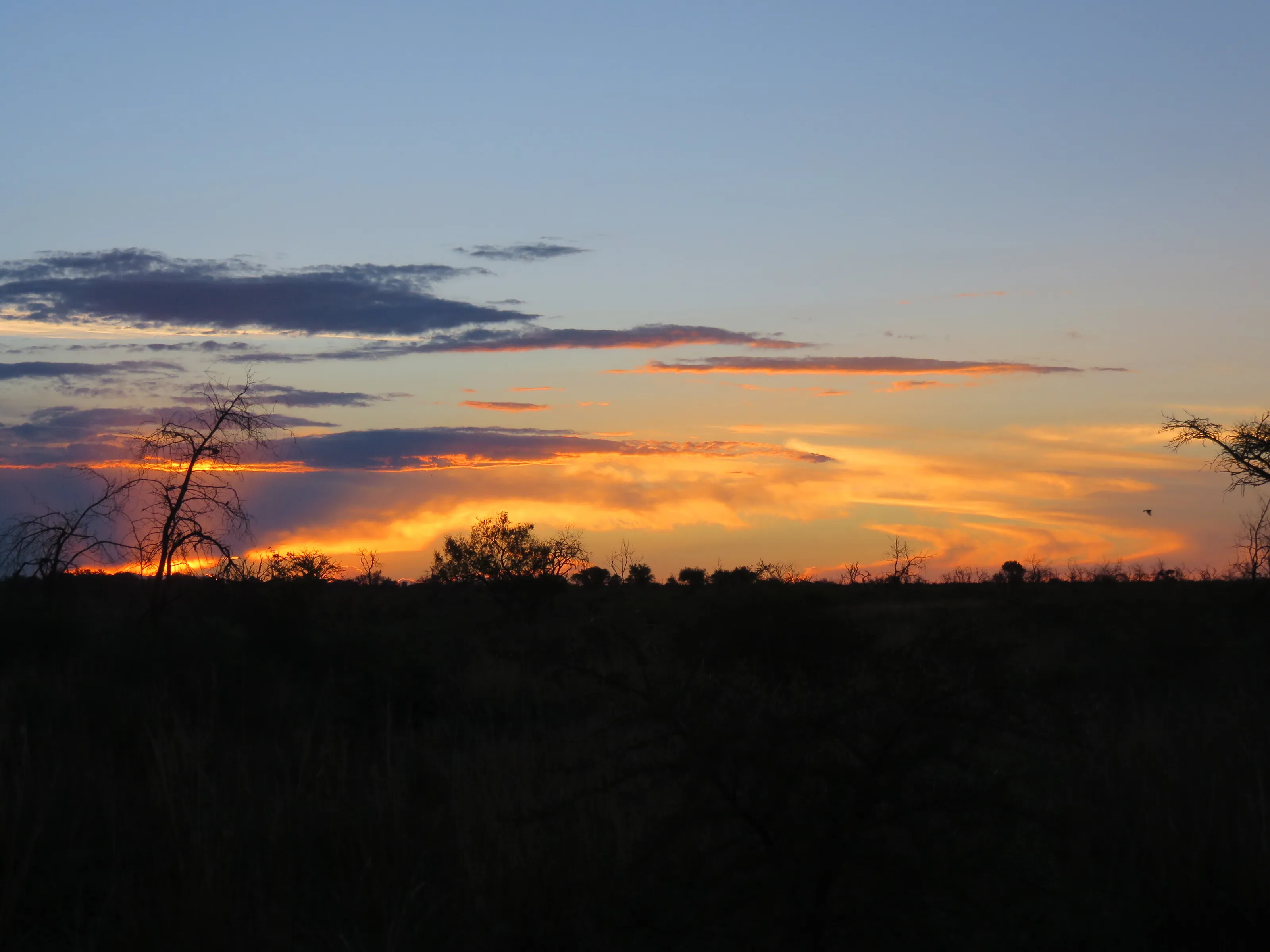 at end of a day in the South African bushveld