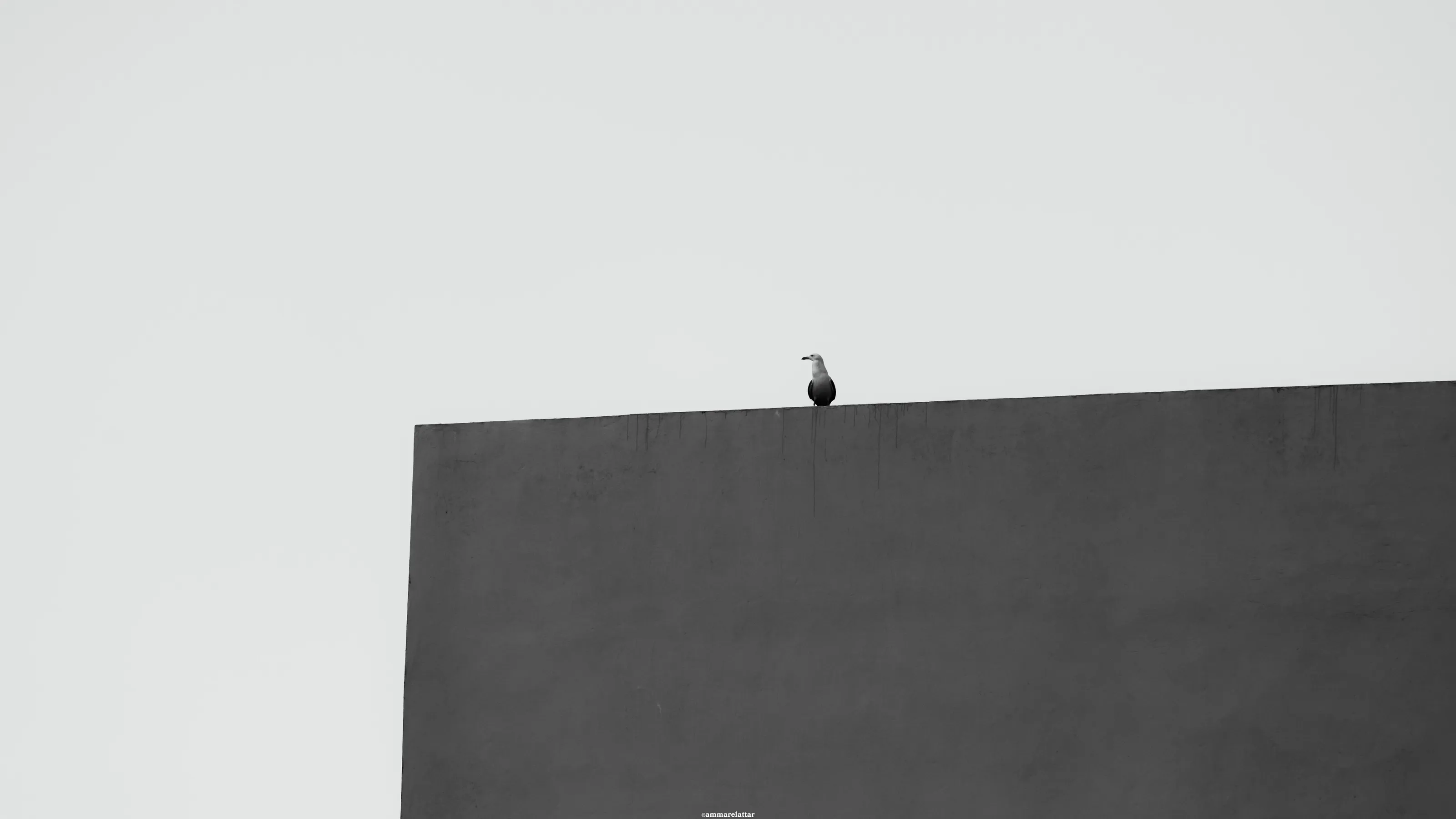 Be lone to be strong