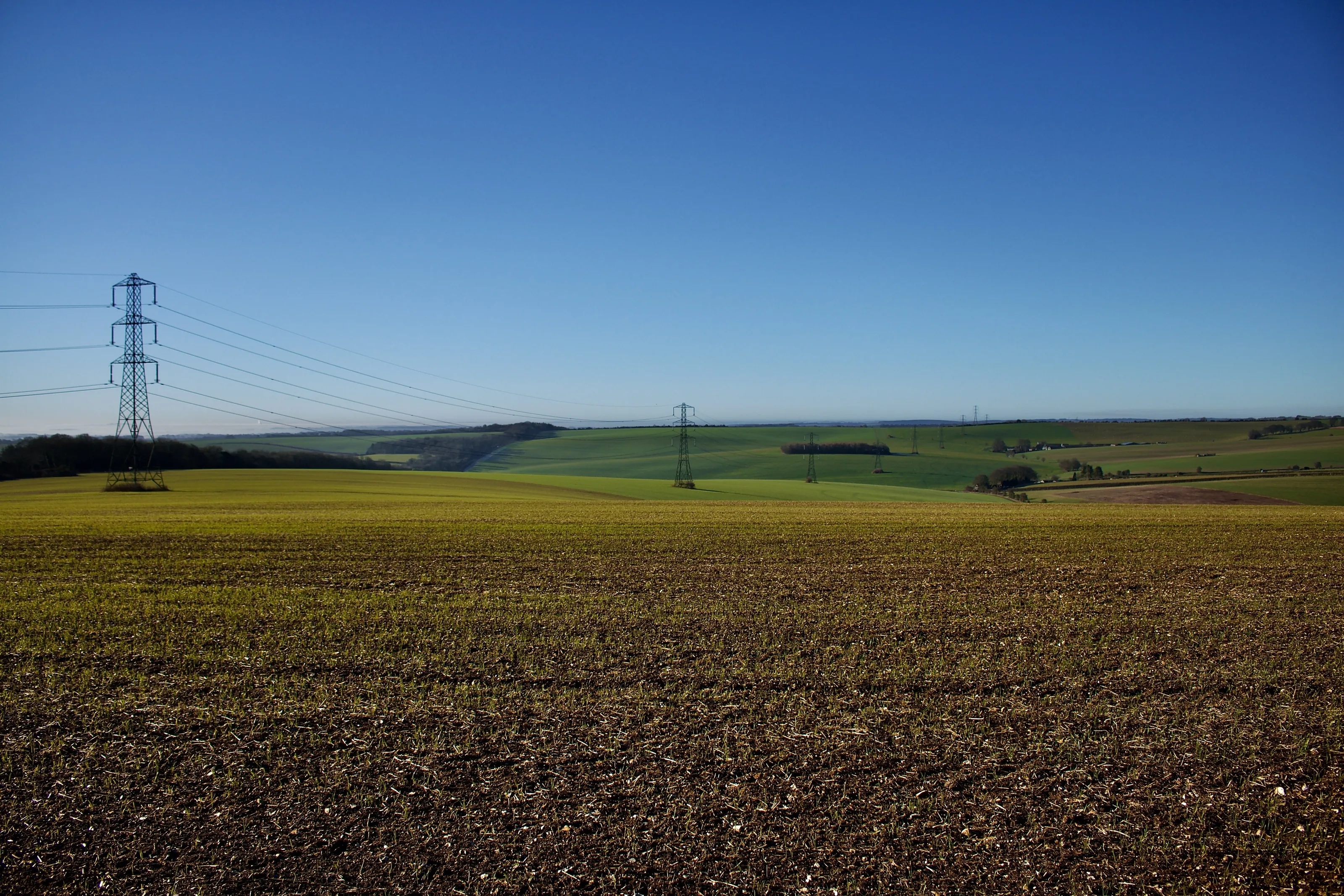 The Rolling Hills of Hampshire