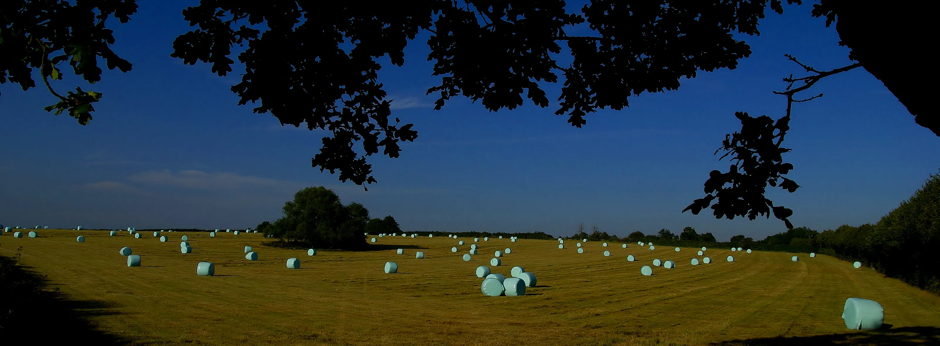 Blue Bales