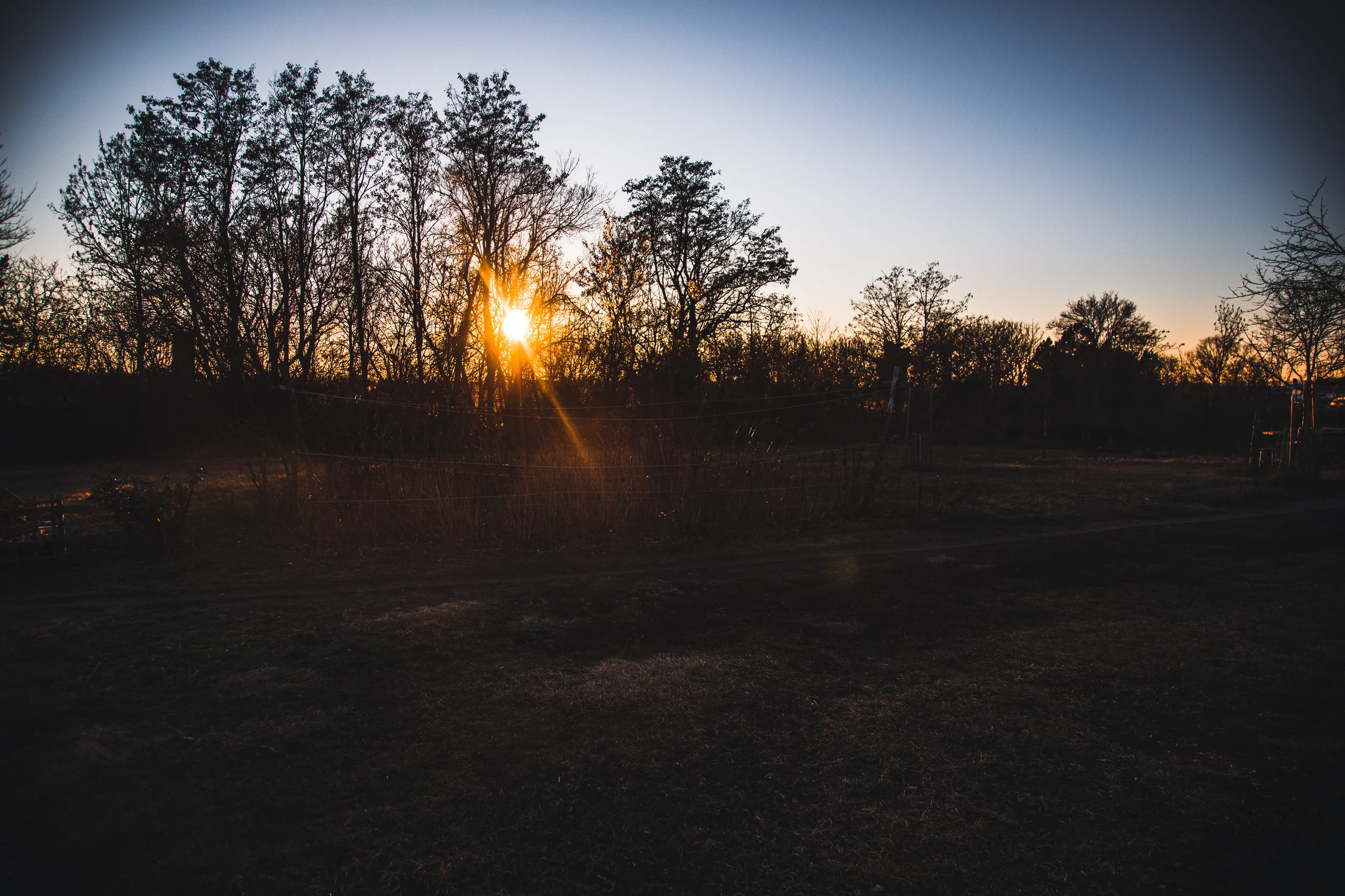 Sunset