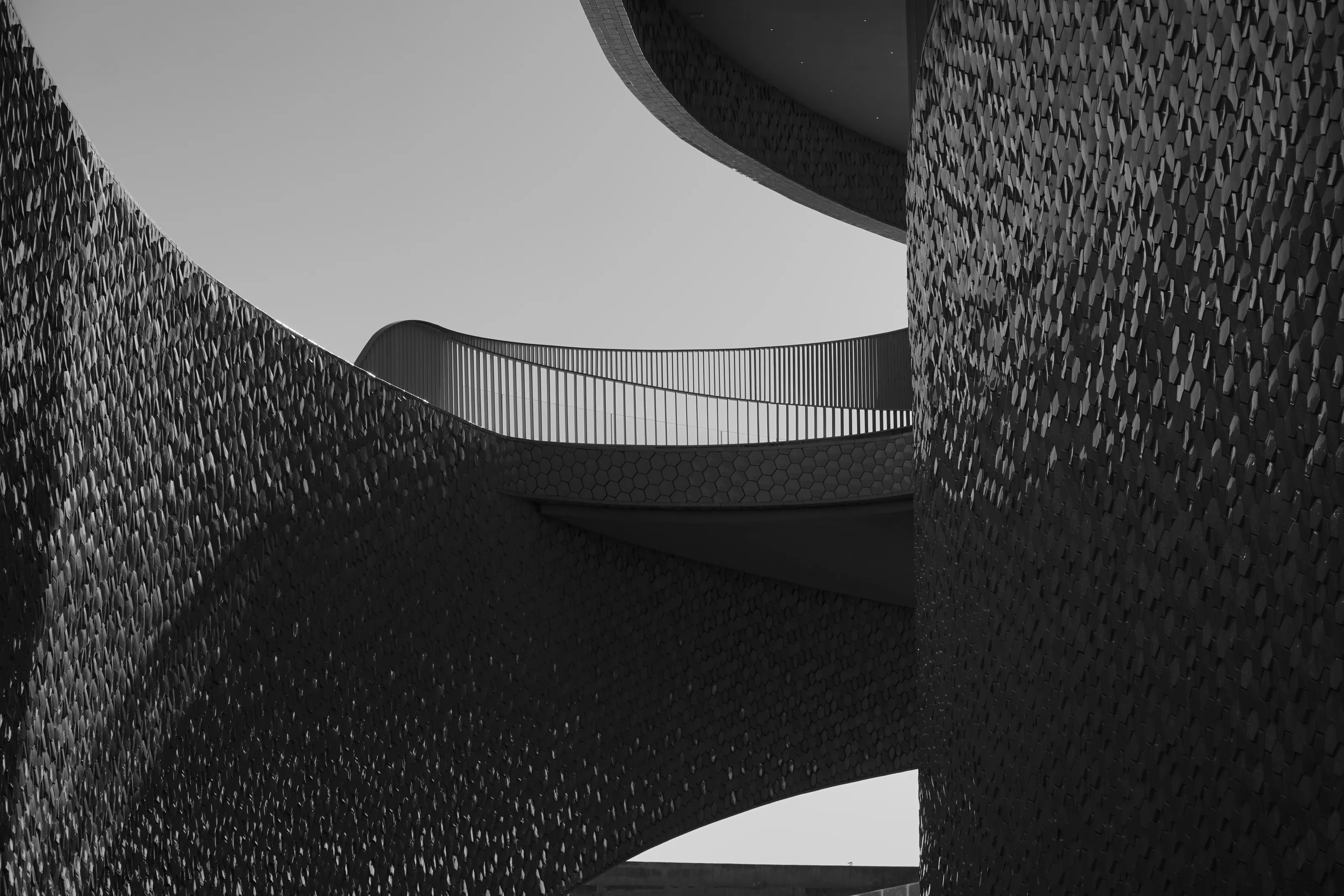 Black Lines