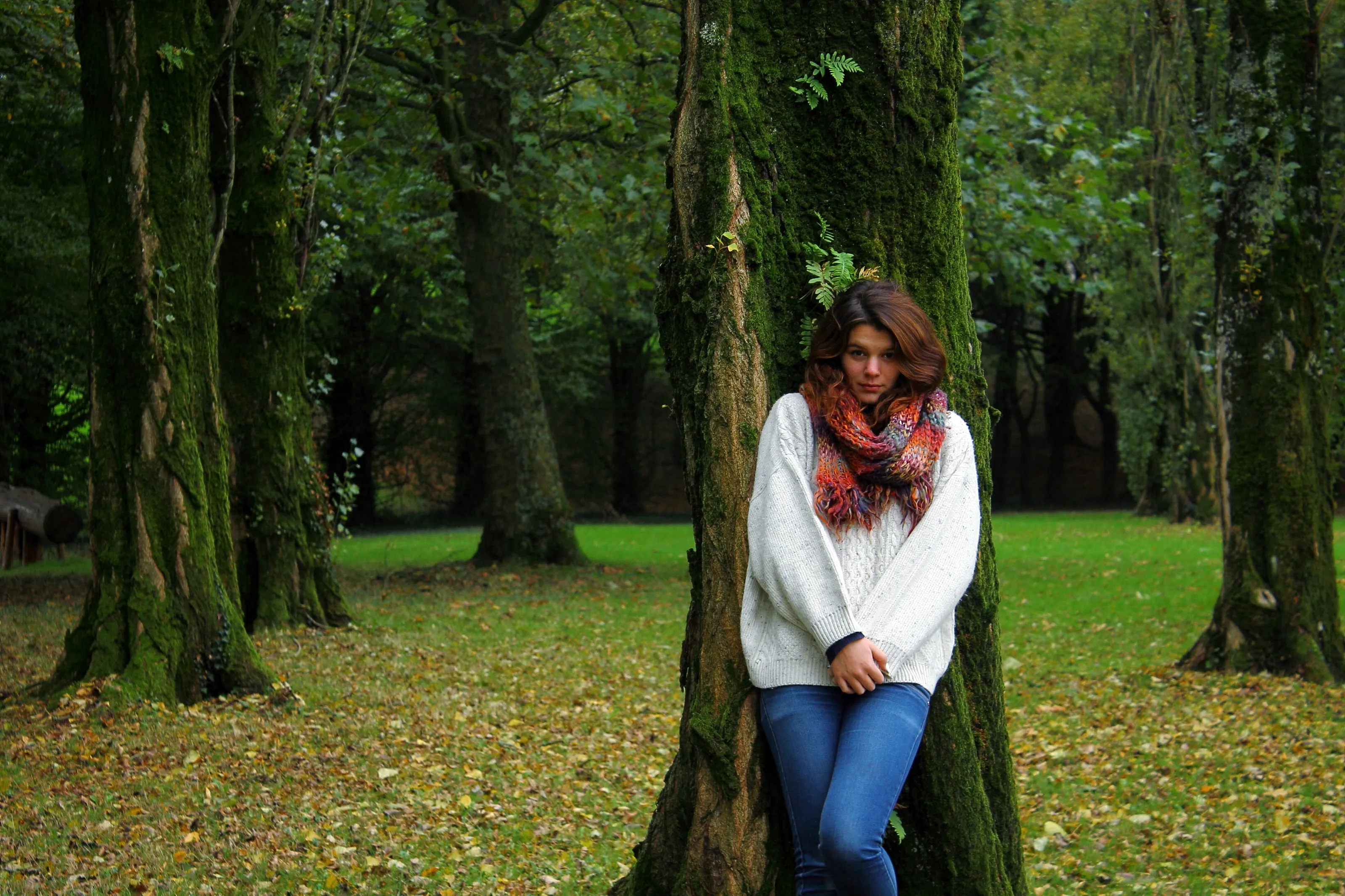 Lost in the woods
