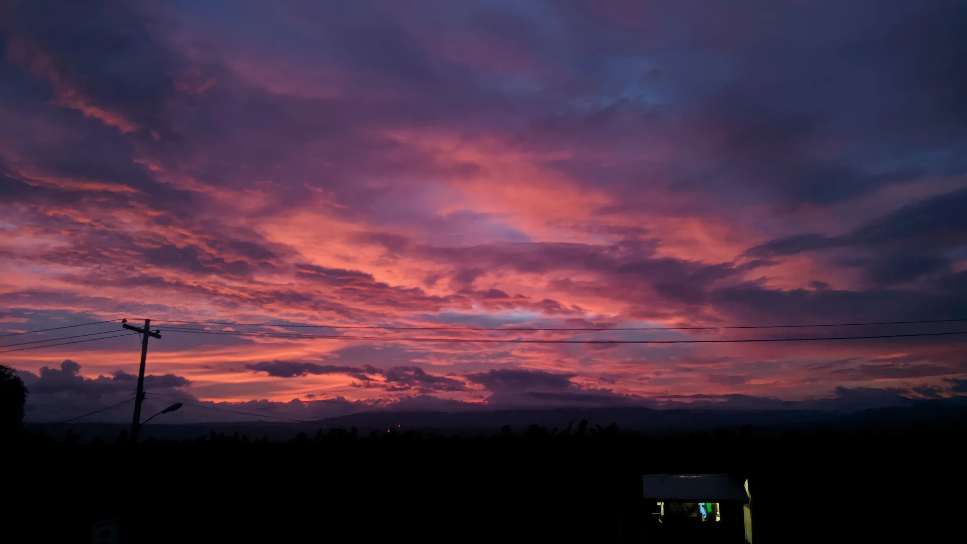Pink Sunset