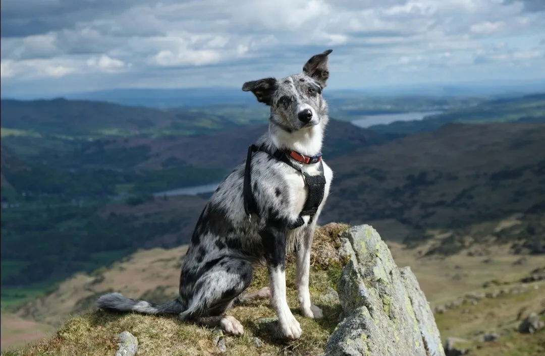 Skye in the hills