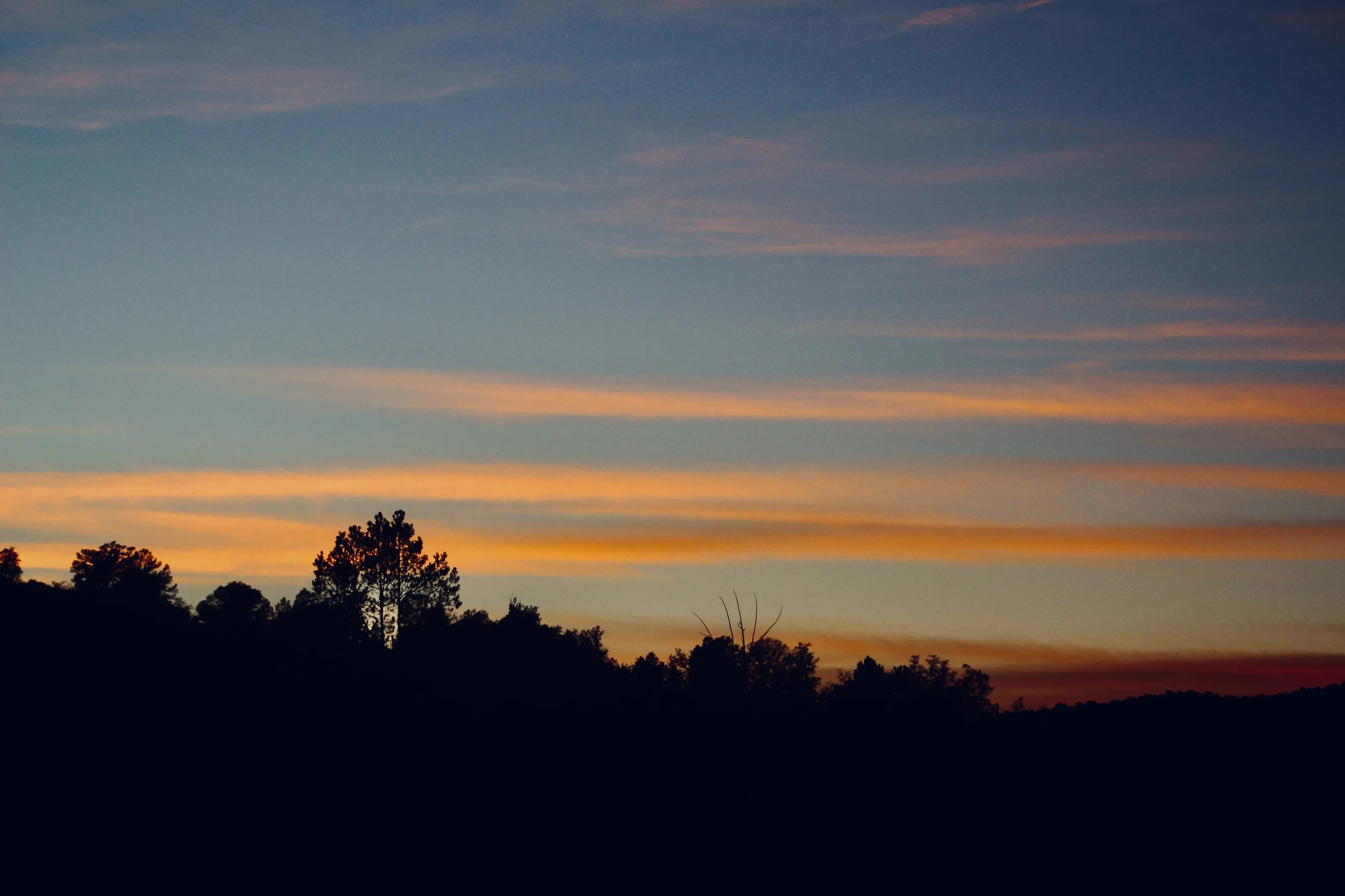 The colorful sky.