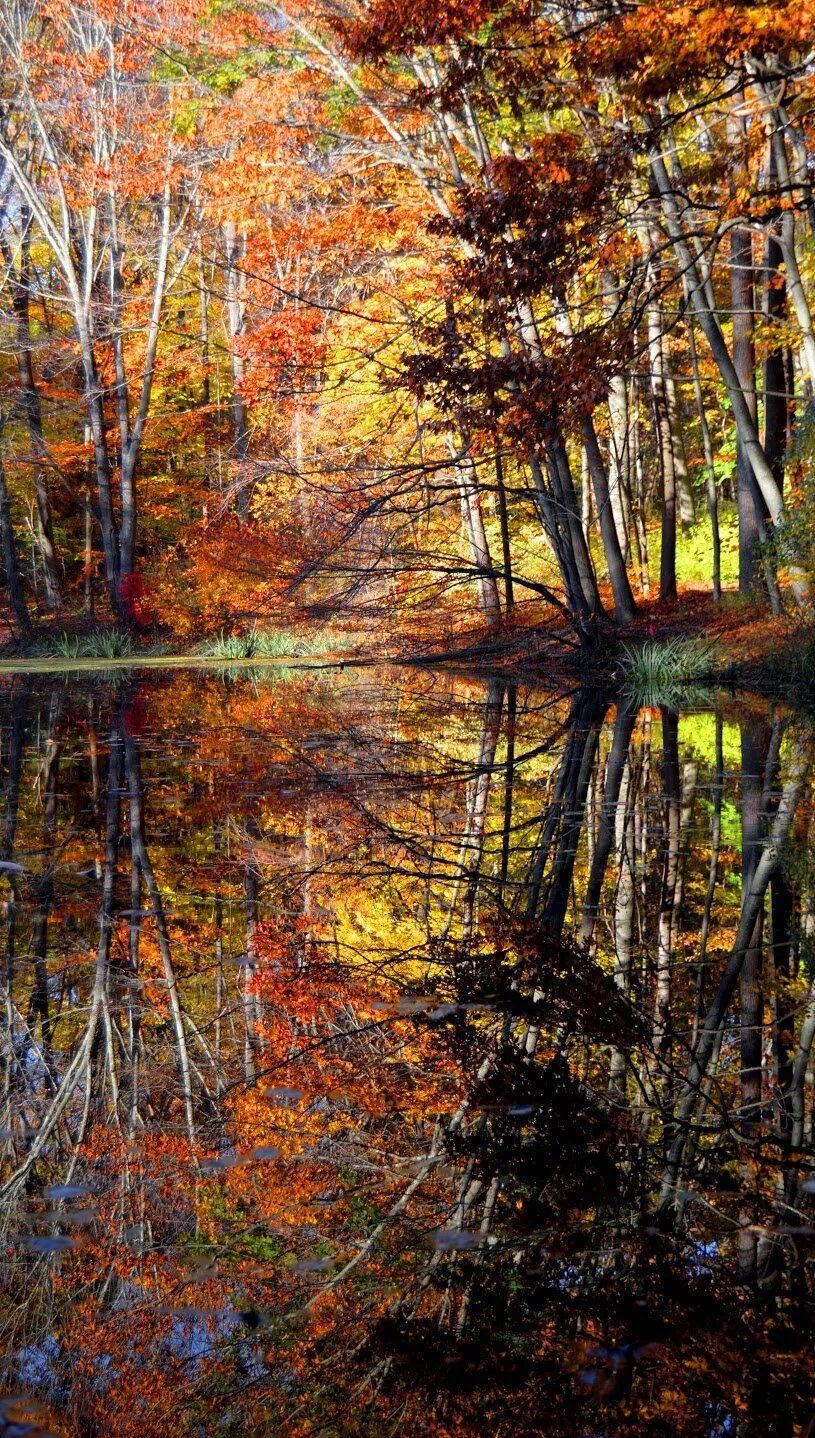 Reflection upon time