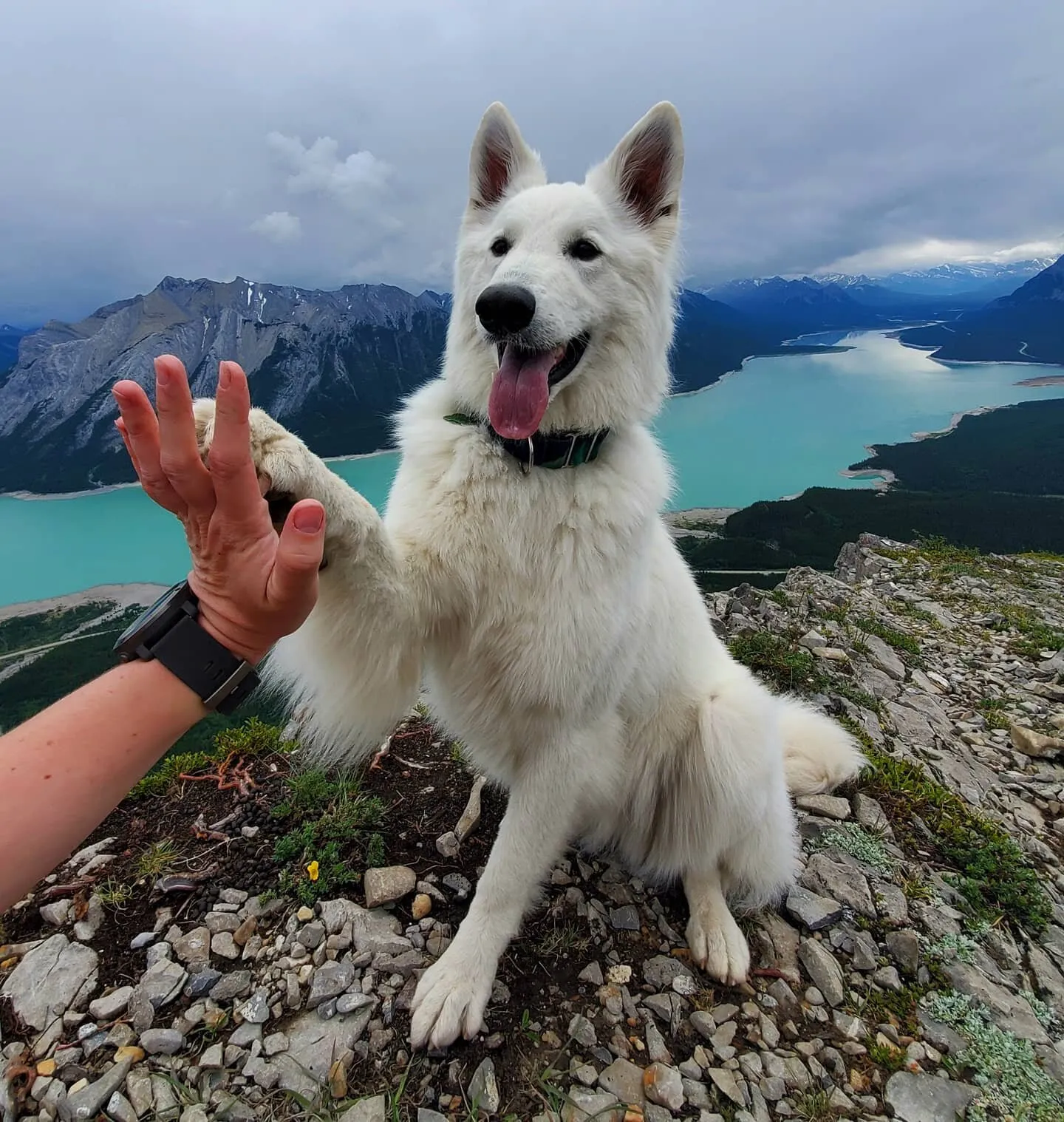 Summit High Fives