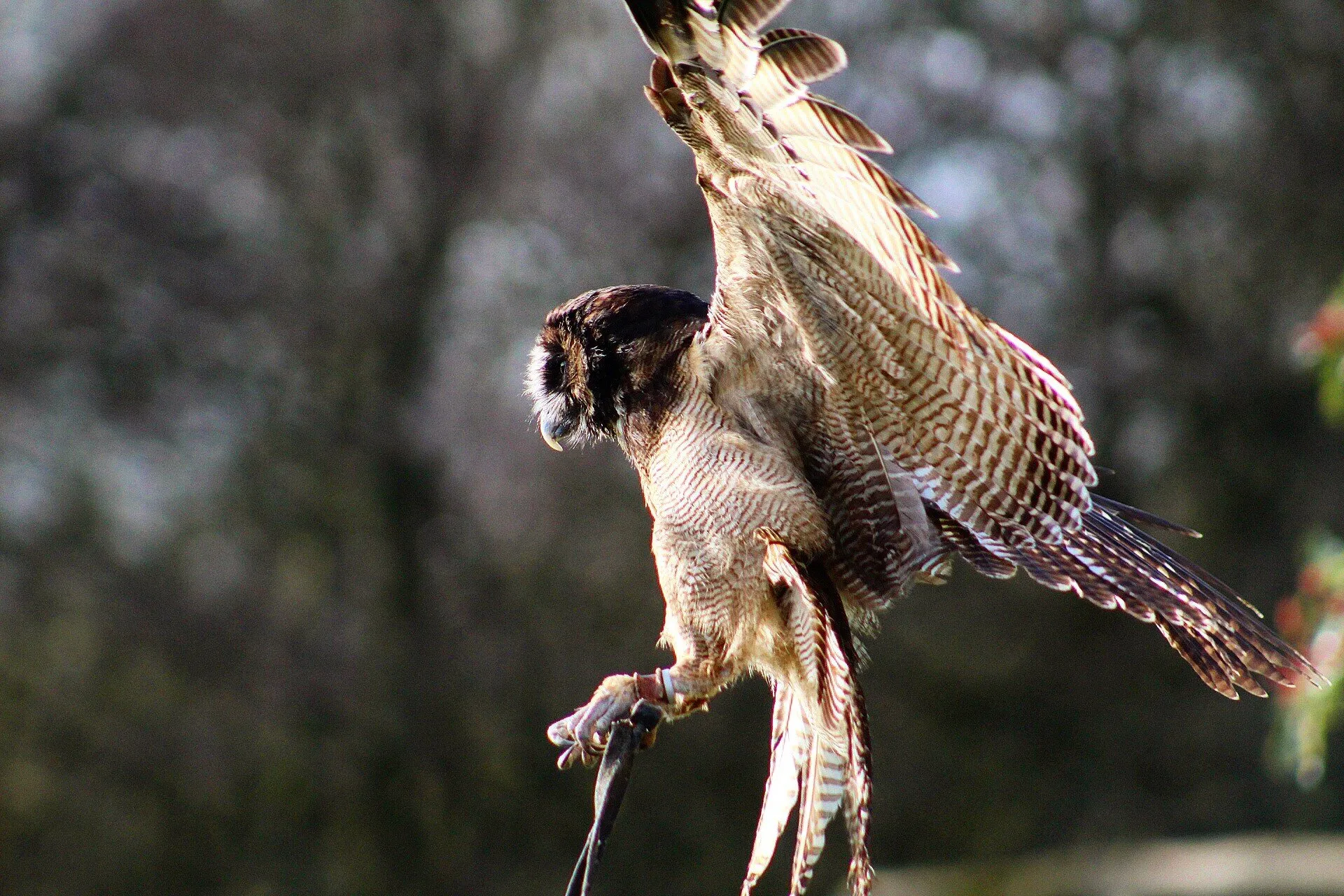 Mid-flight