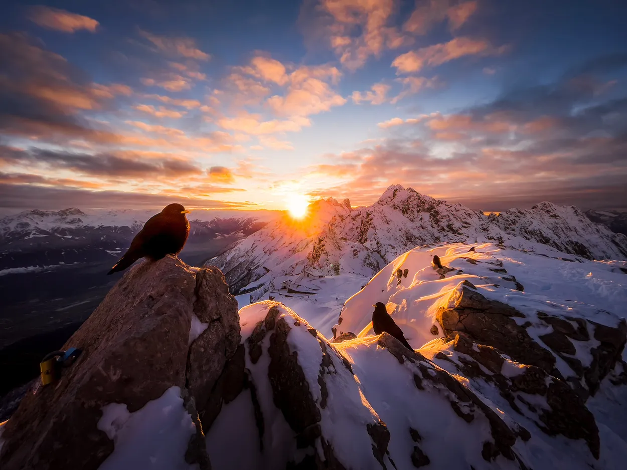 Enjoying the sunset