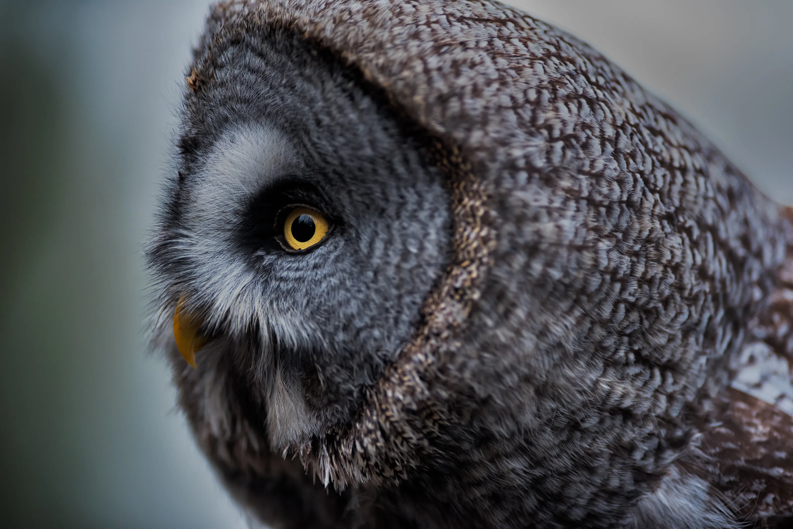 I've got my eye on you