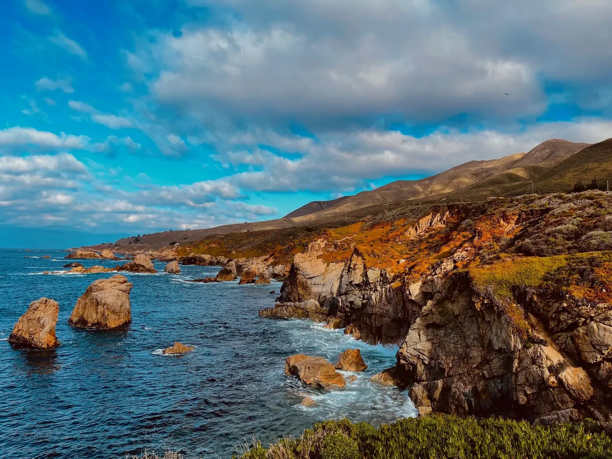 Entry 11691640