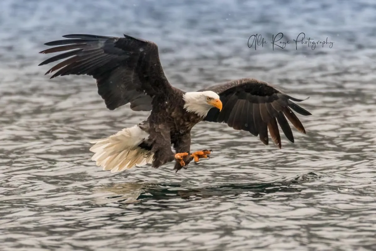Dinnertime!