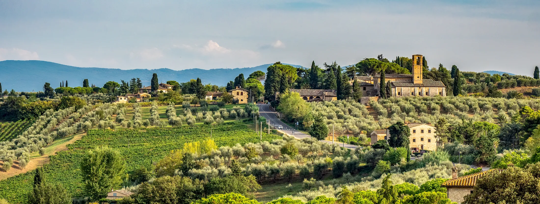 Entry 16798430