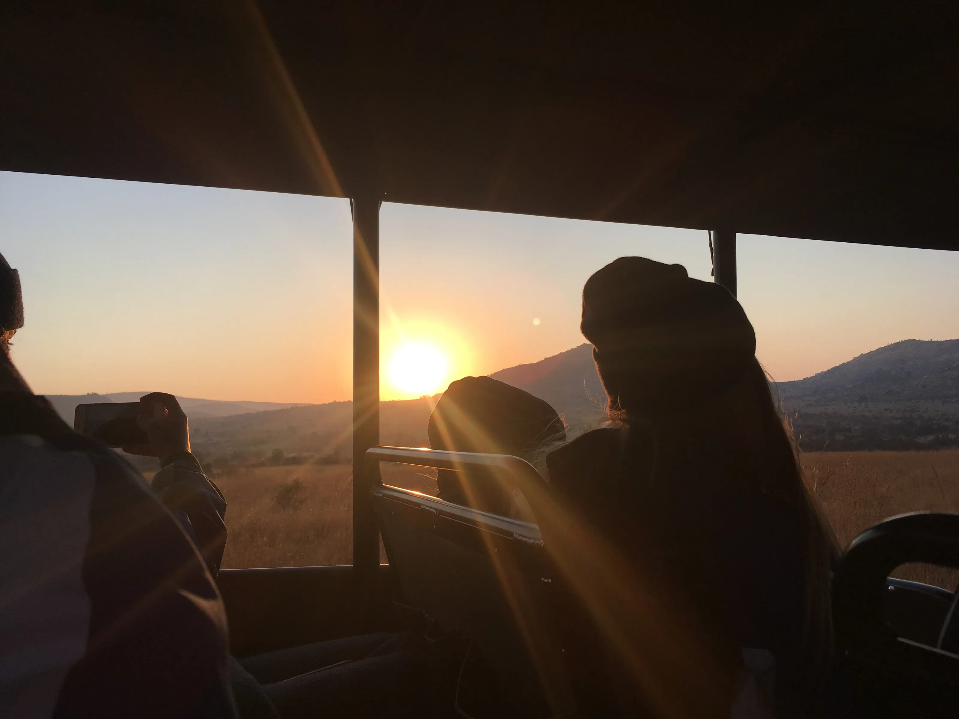 Sunrise Safari