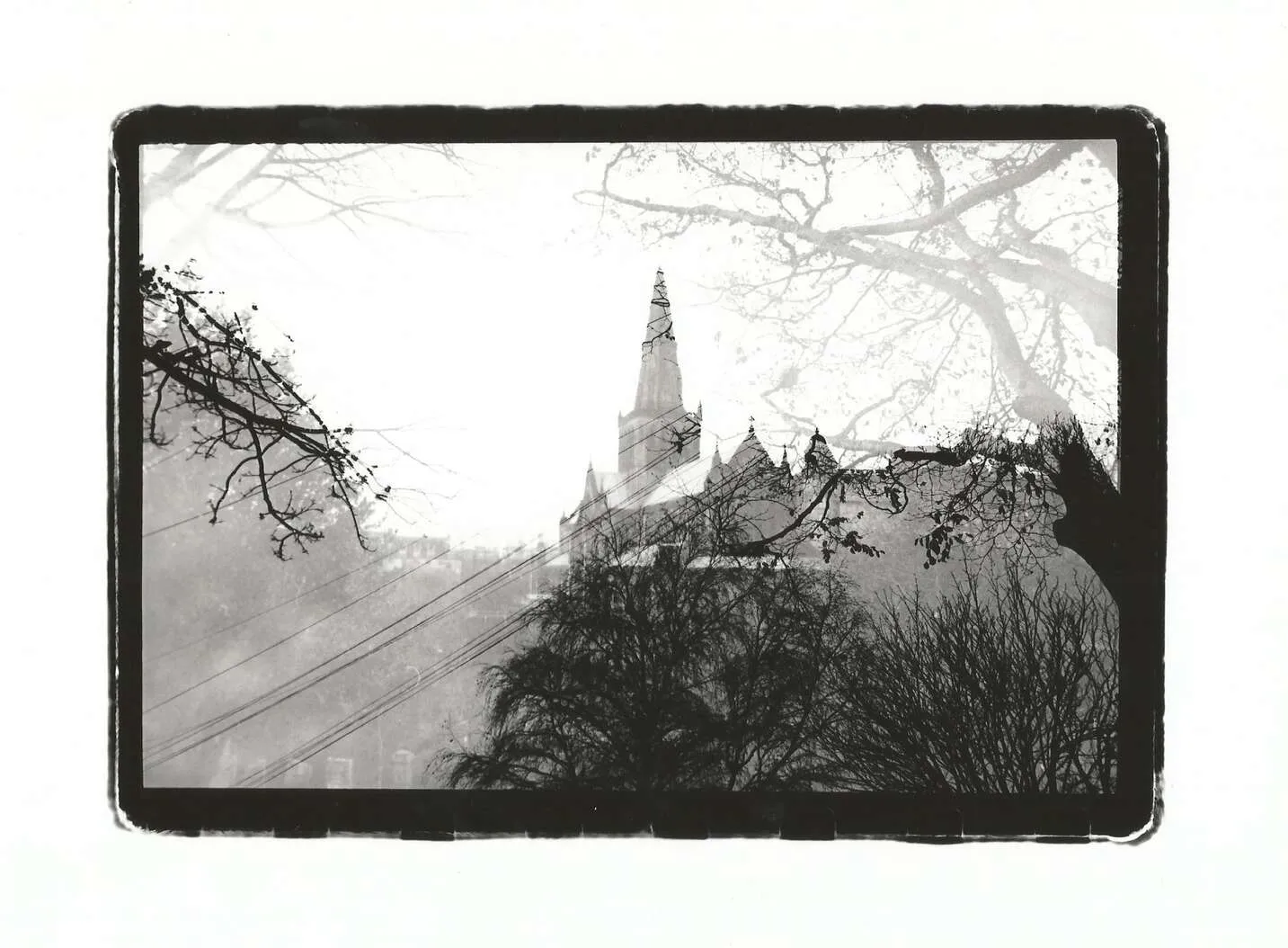 church behind the trees
