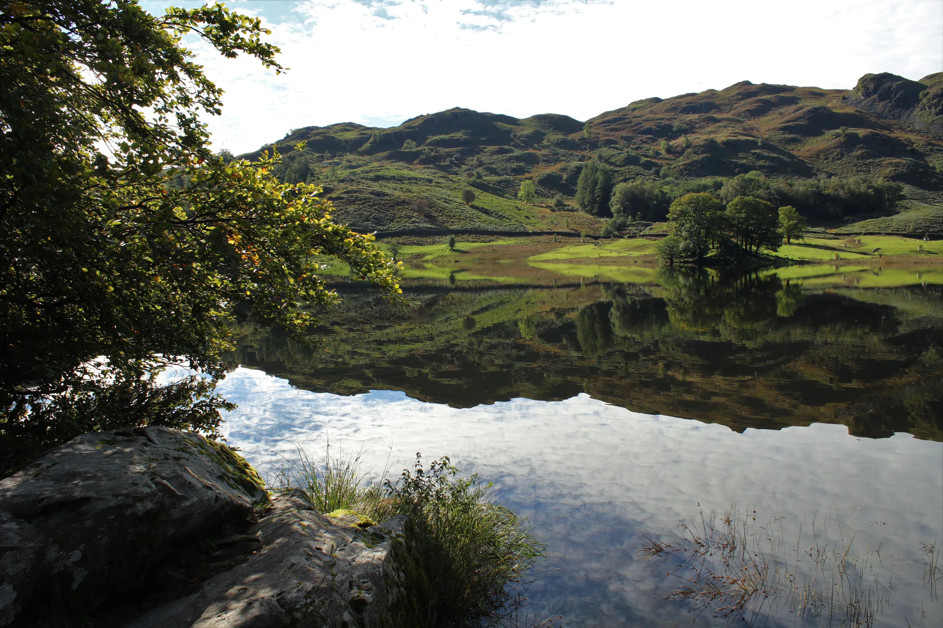 Reflections