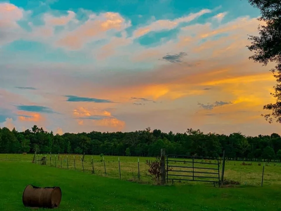 Louisiana Sunset