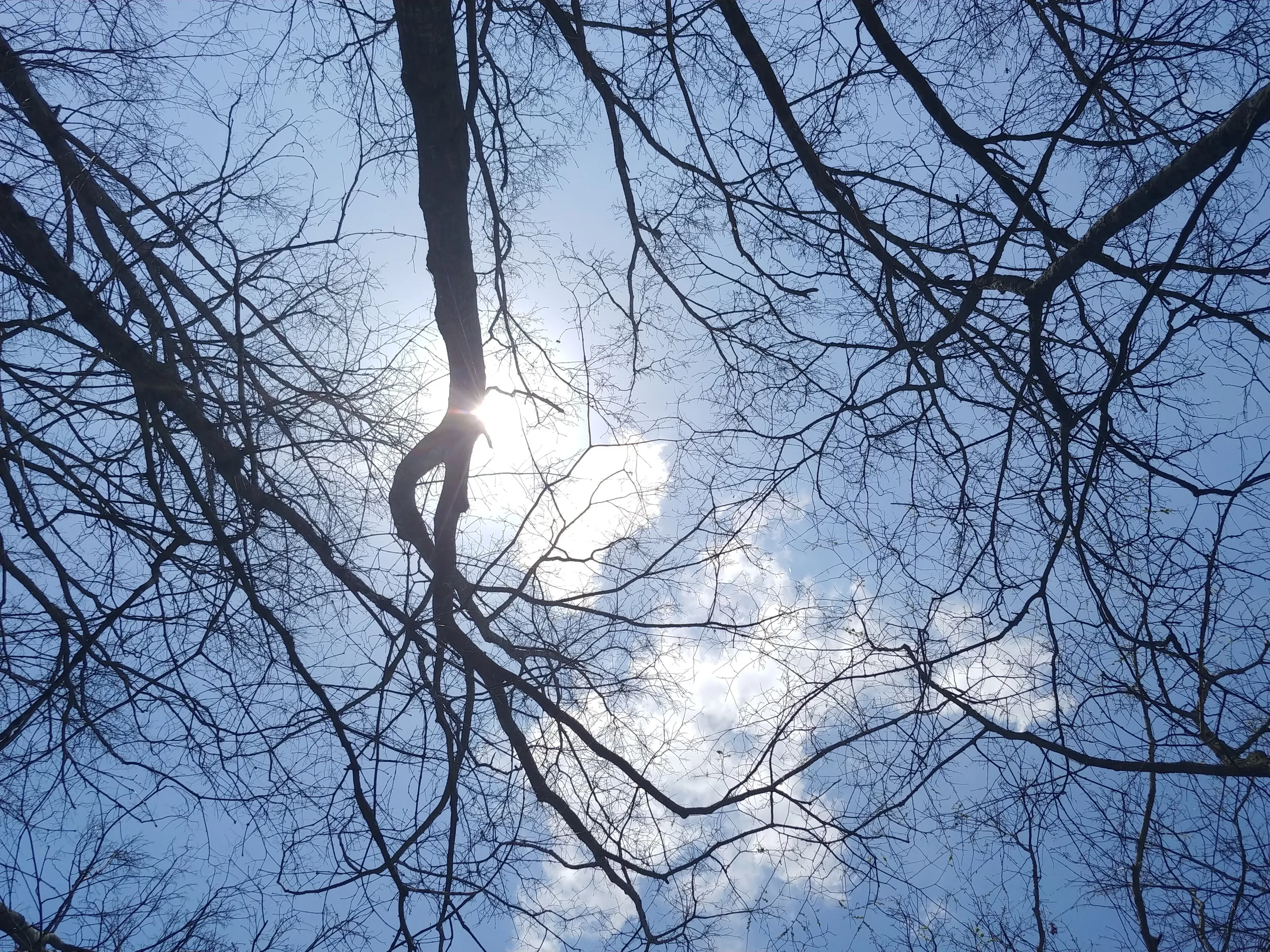 Sky High