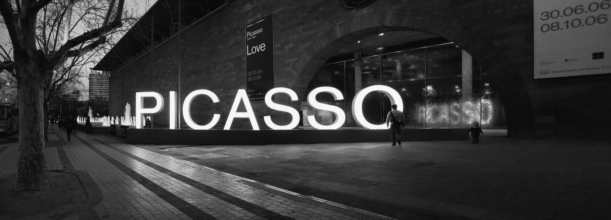 Picasso Panoramic