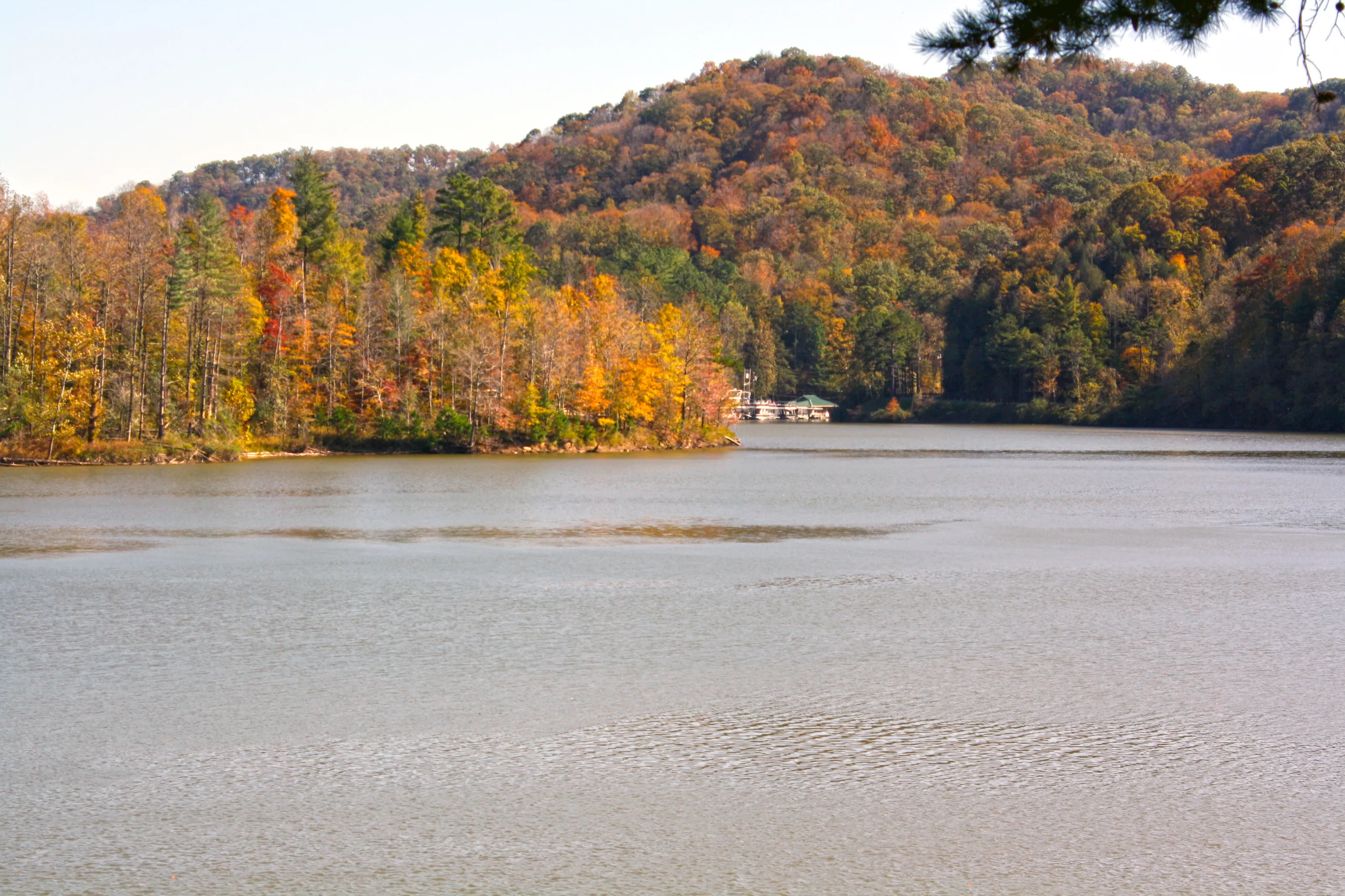 Life on the Lake
