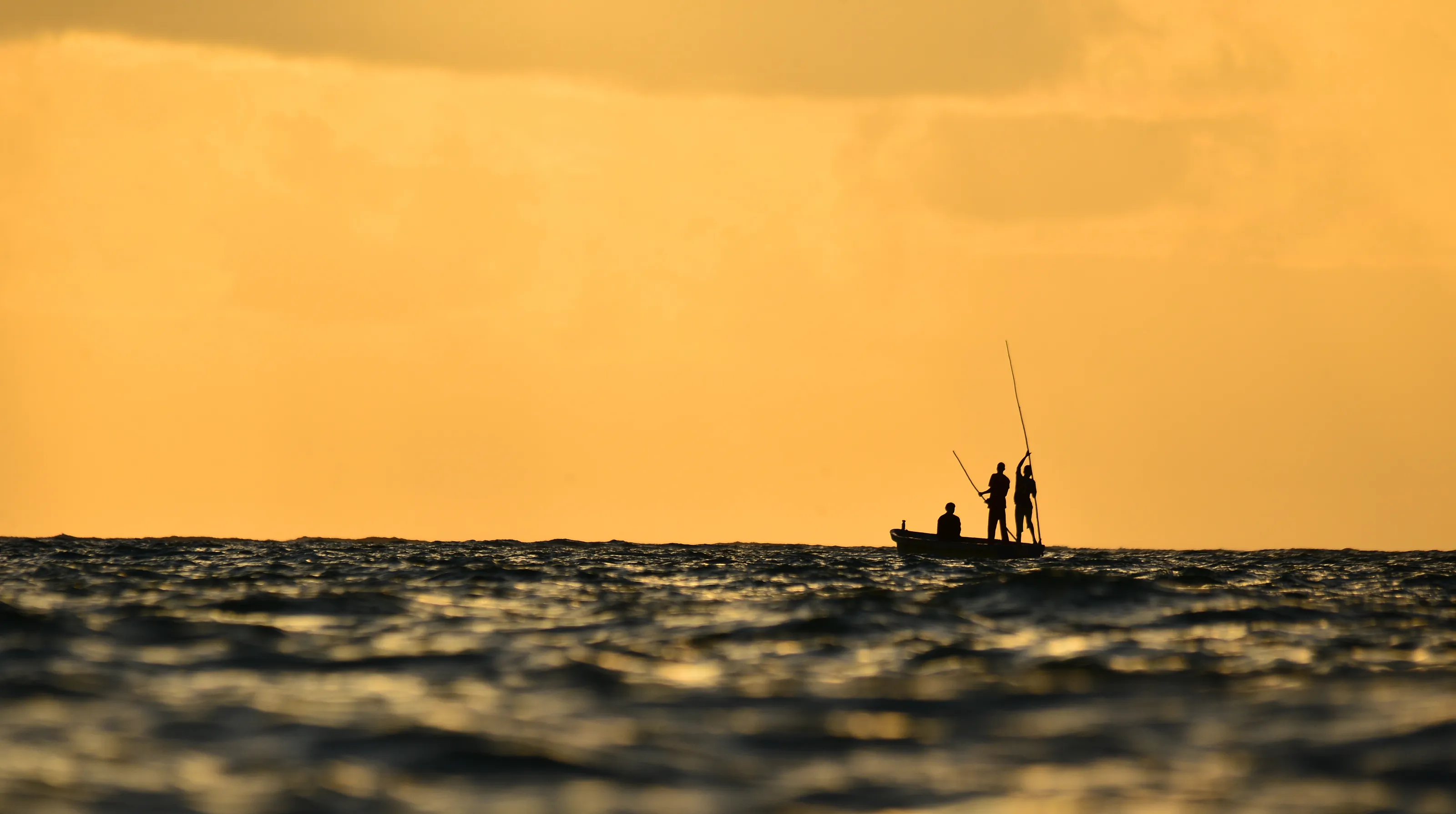 On the mission to catch fish for family