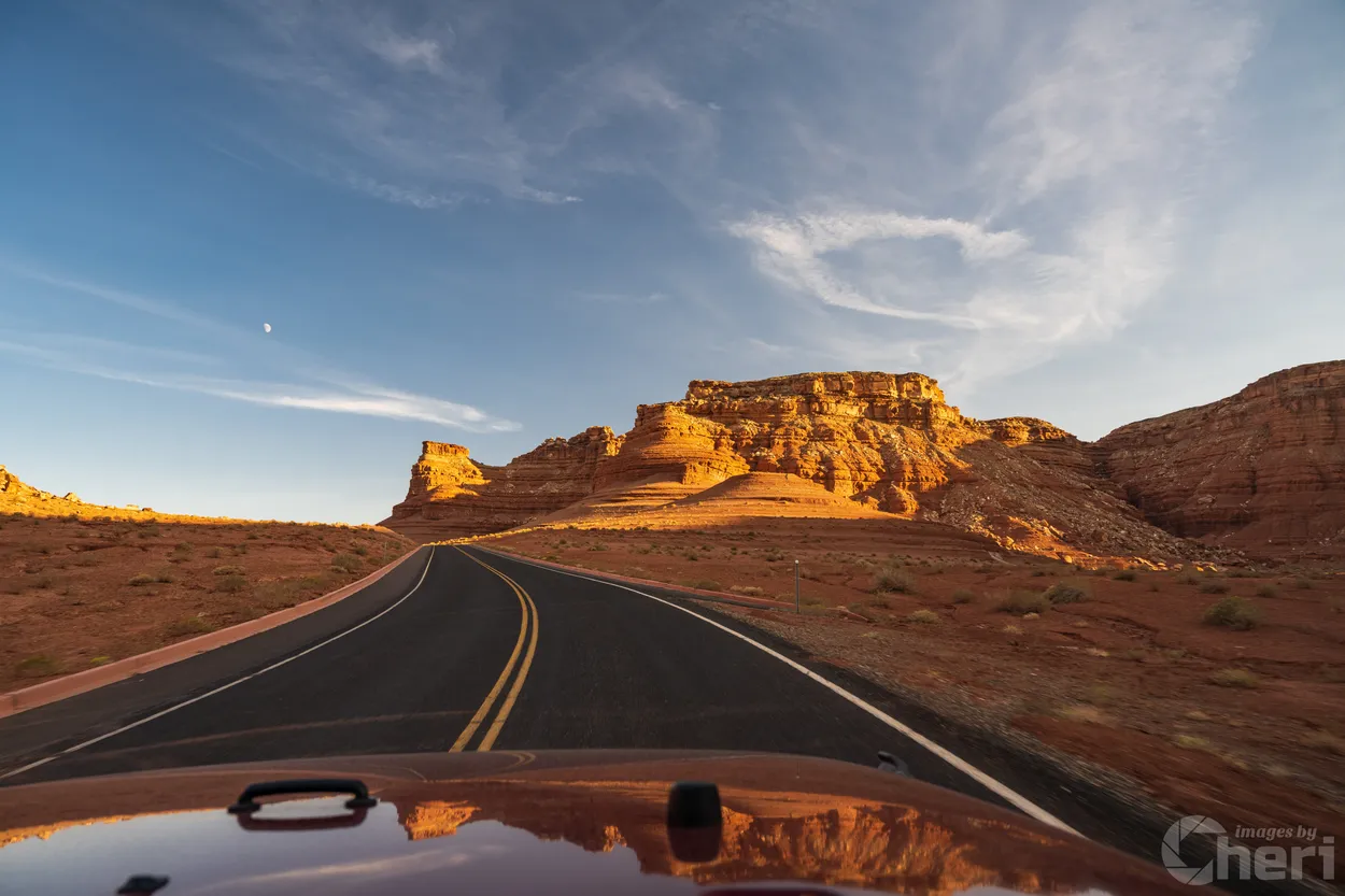 Entry 11735105