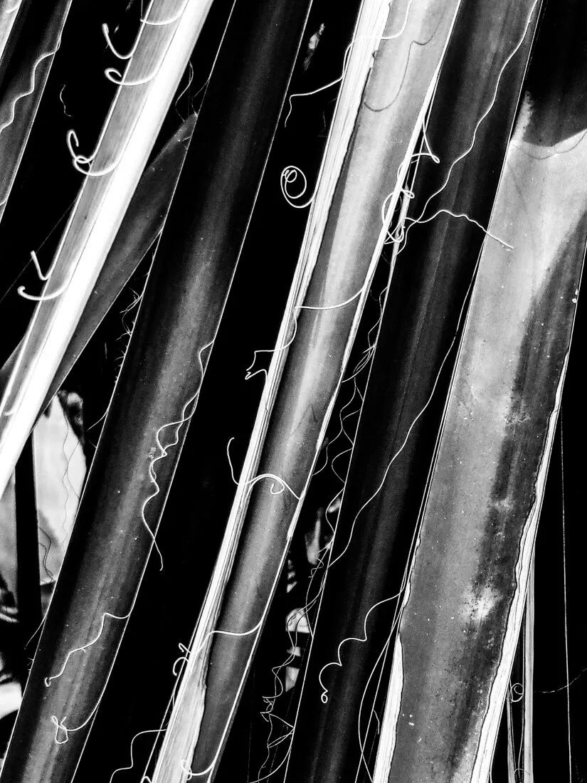 Flax Leaves